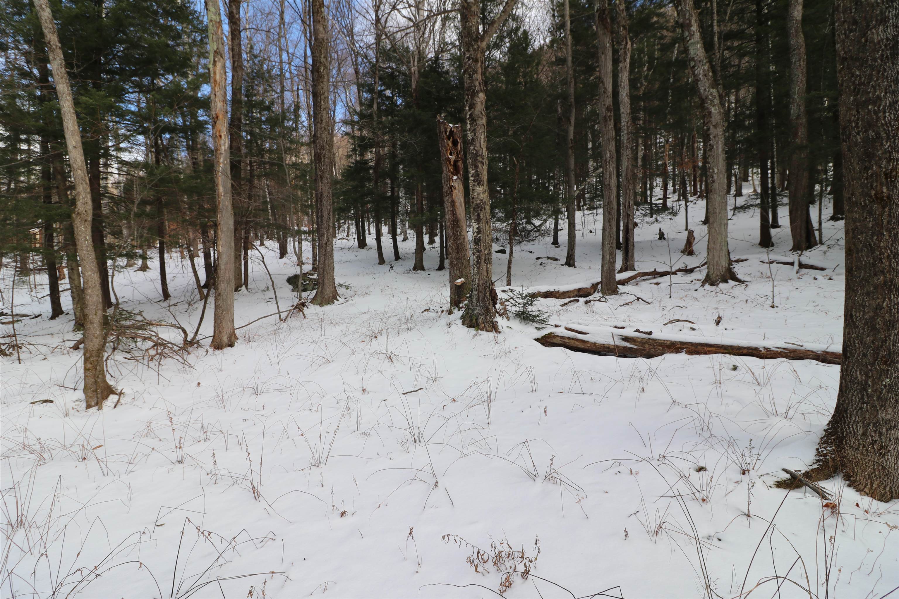 75 Maple Ridge Road, Unit B Fayston, VT 05673 - Photo 9 of 19 Gallery Image 9