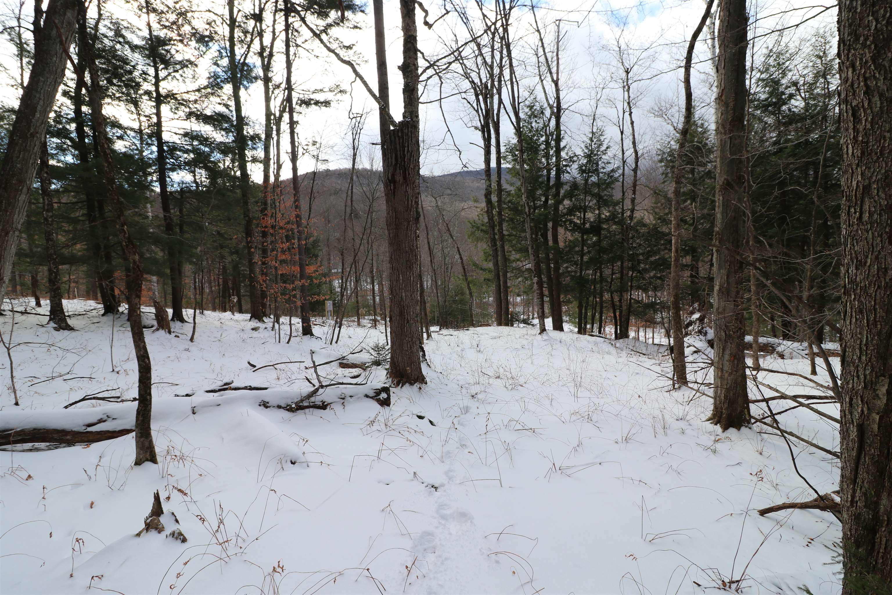 75 Maple Ridge Road, Unit B Fayston, VT 05673 - Photo 10 of 19 Gallery Image 10
