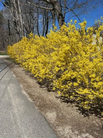 $700,000 | 5 Alden Avenue, North Hampton, NH 03862