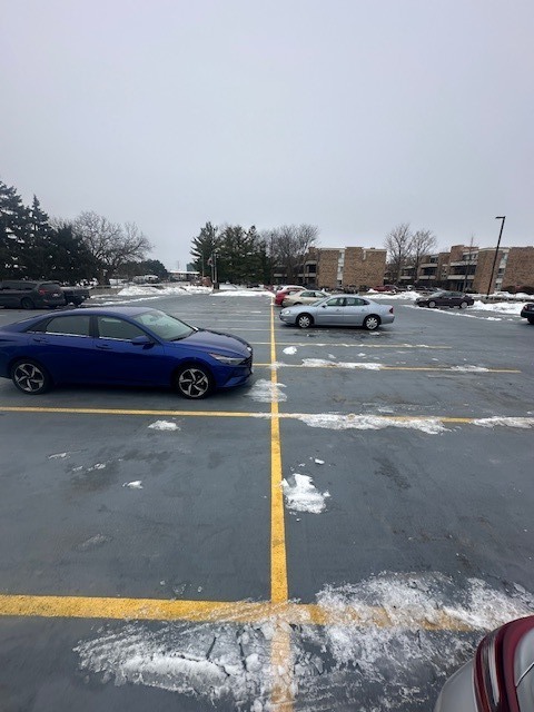 1813 Hemlock Place, Unit 311 Schaumburg, IL 60173 - Photo 17 of 17 a view of street with cars