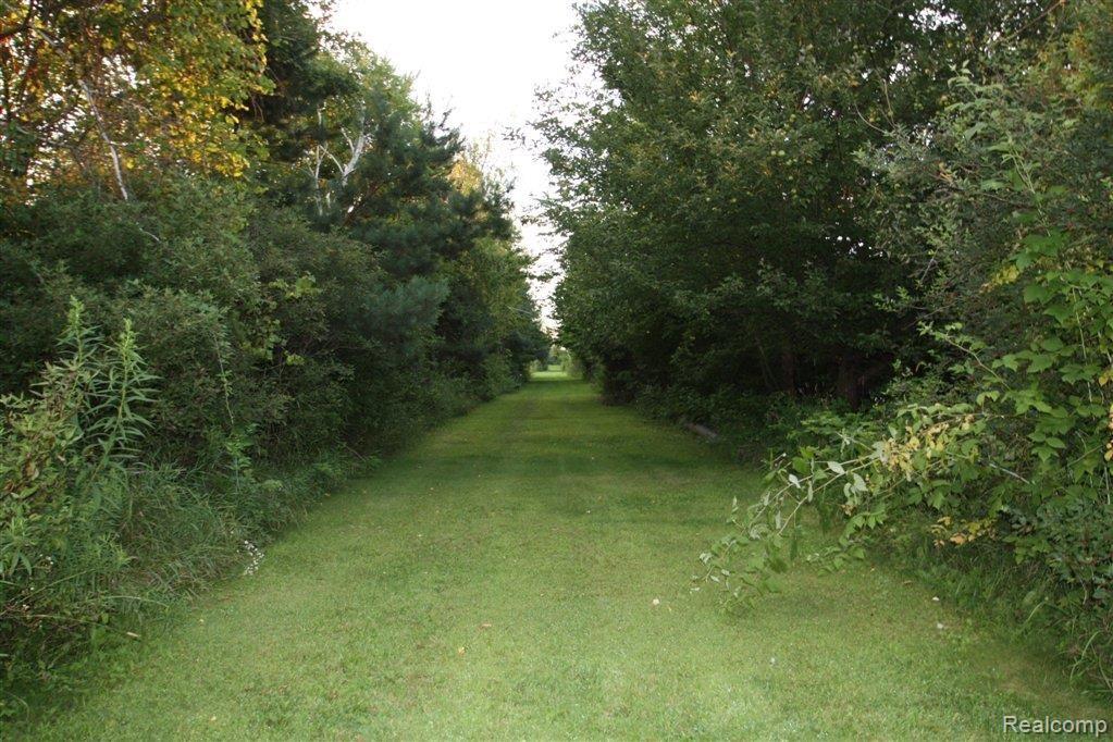 8280 Logana Road Avoca, MI 48006 - Photo 33 of 37 8280 Logana mainicured path or g