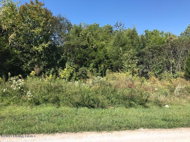 9 Wilderness Rdg Drive Clarkson, KY 42726 - Photo 2 of 10 Beautiful Building Lot
