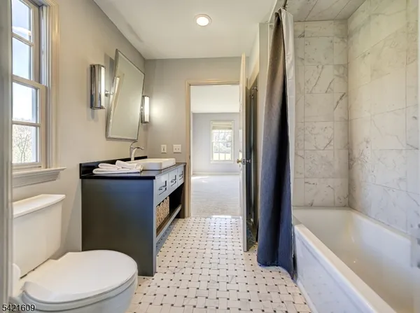 a bathroom with a sink a toilet a mirror a vanity and shower