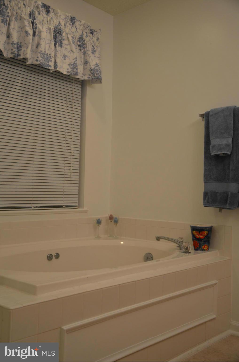 19 Ridge Manor Court Damascus, MD 20872 - Photo 14 of 30 Soaking tub with jets