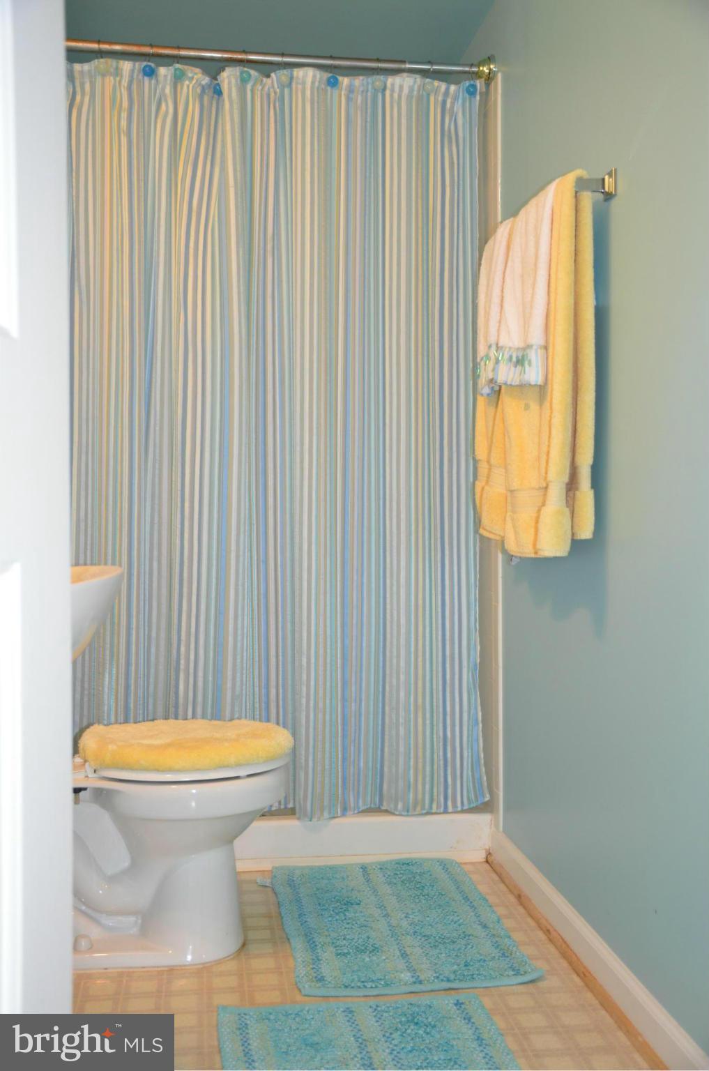 19 Ridge Manor Court Damascus, MD 20872 - Photo 22 of 30 Full bath basement