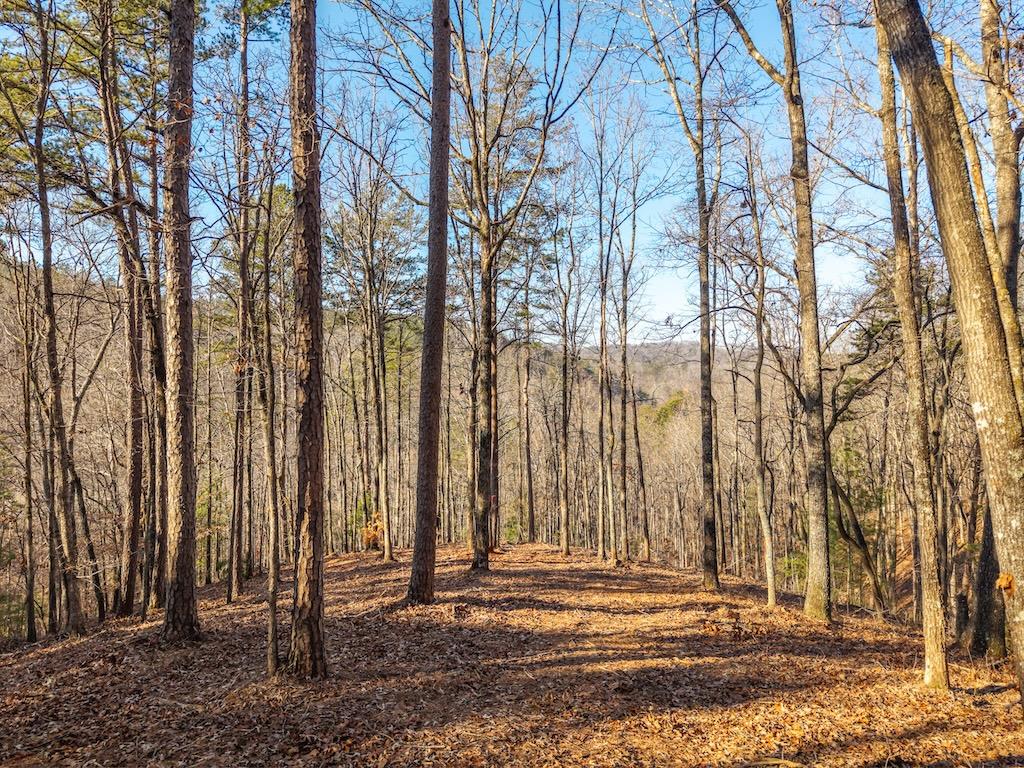1665 Hunter Drive Ranger, GA 30734 - Photo 1 of 18 Main View