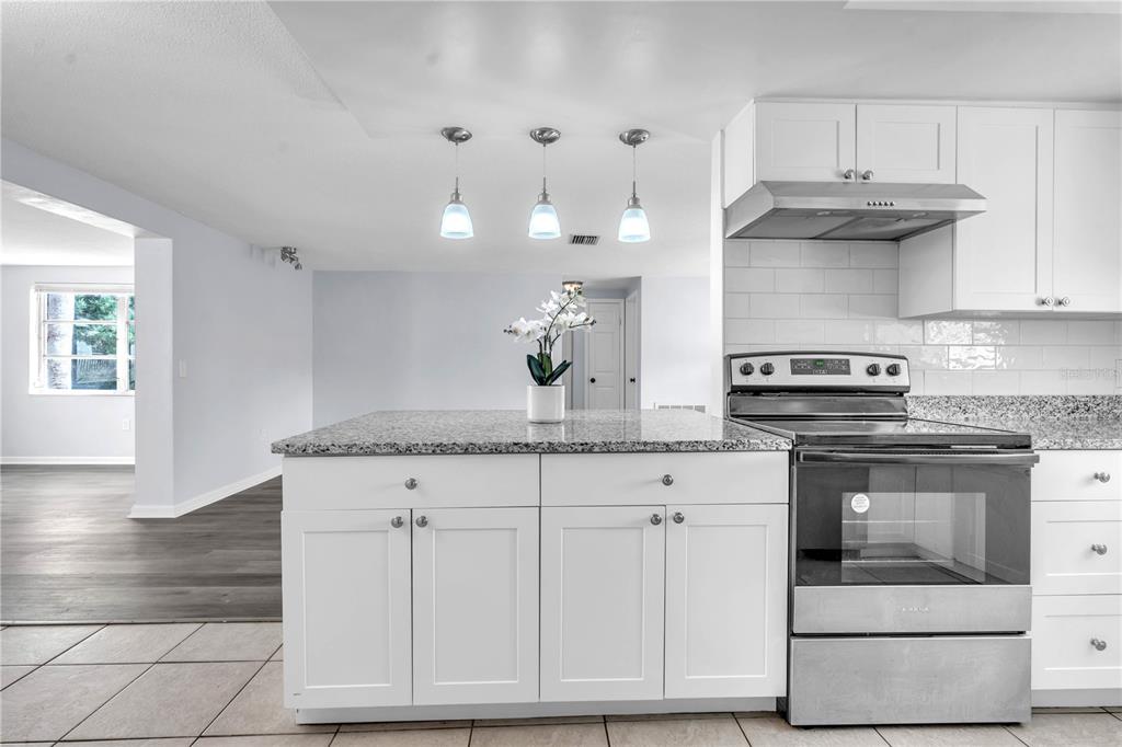 10804 Kingsbridge Road Port Richey, FL 34668 - Photo 5 of 40 Gallery Image 5