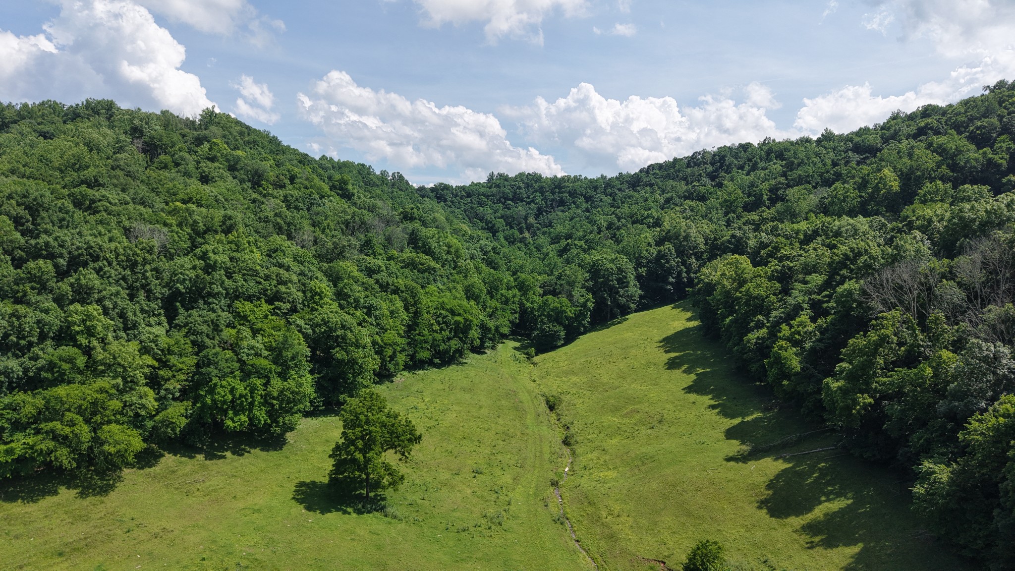 1358 Dry Branch Road Dixon Springs, TN 37057 - Photo 41 of 98