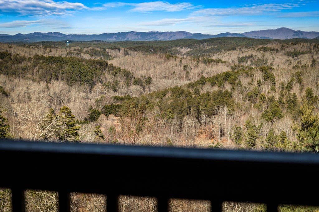 31 Hope Drive Blue Ridge, GA 30513 - Photo 71 of 80
