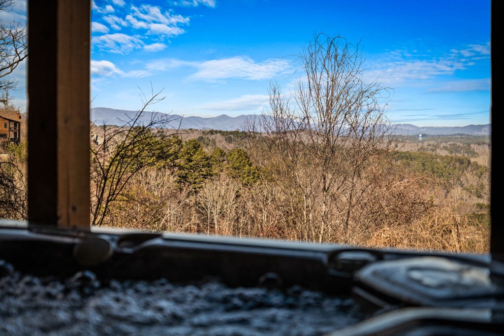 31 Hope Drive Blue Ridge, GA 30513 - Photo 73 of 80