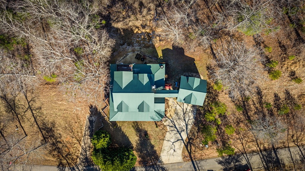 31 Hope Drive Blue Ridge, GA 30513 - Photo 79 of 80