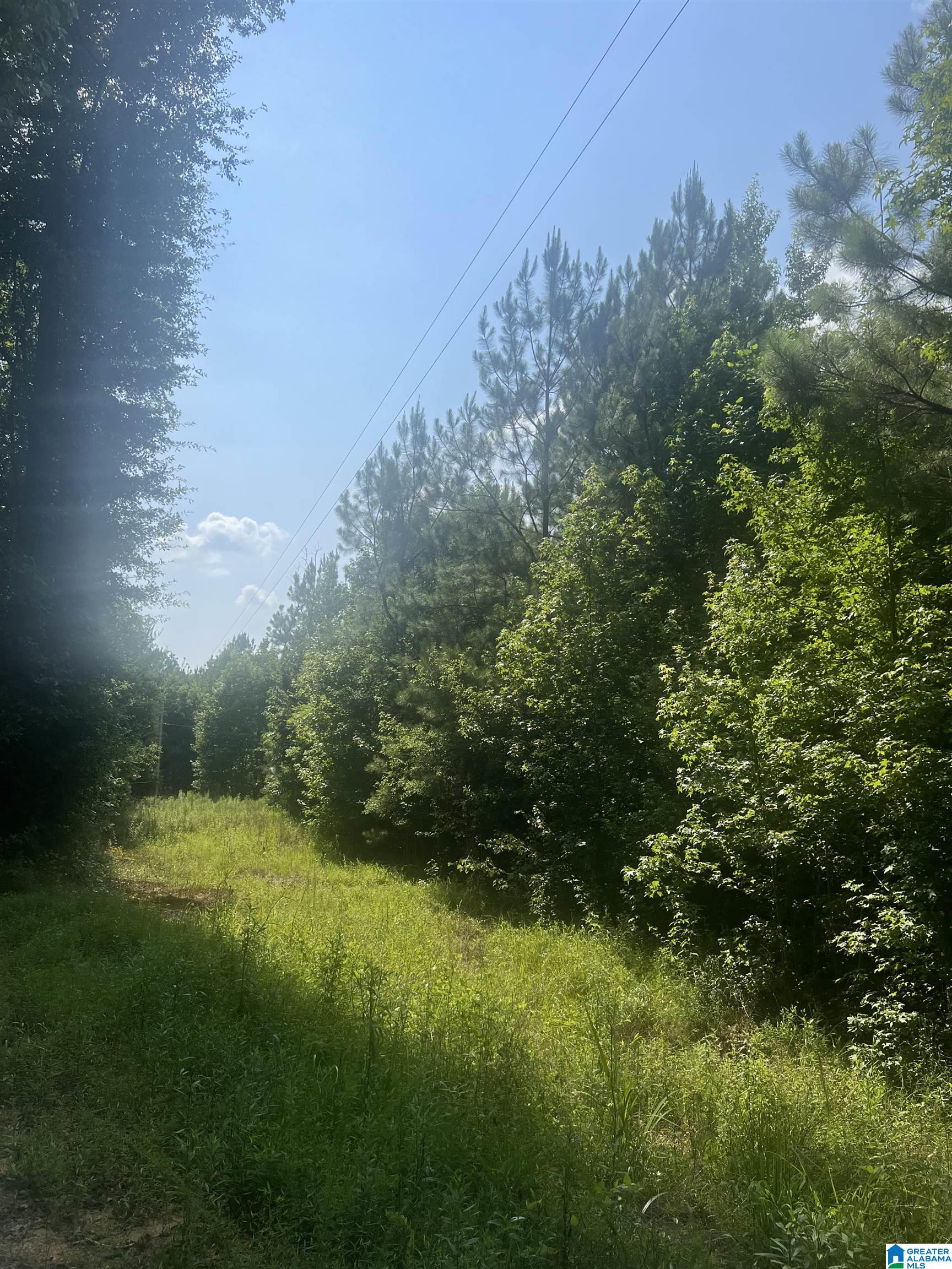 0 Mat Moore Road Lawley, AL 36793 - Photo 5 of 5
