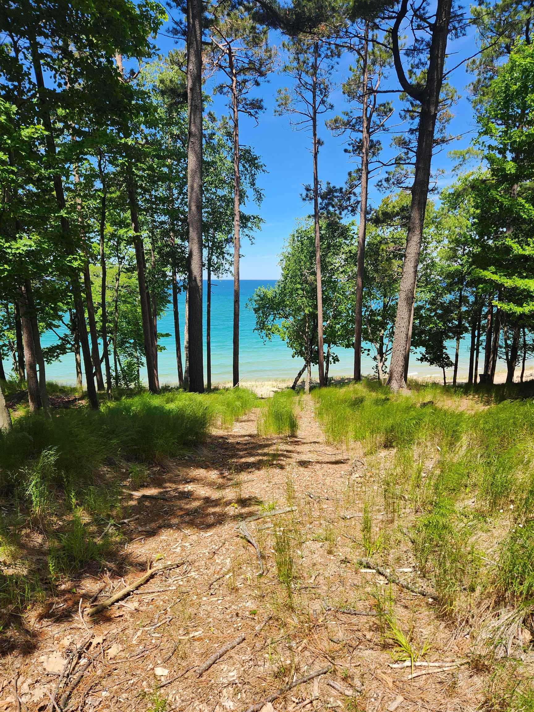 0 Mt McSauba Road Charlevoix, MI 49720 - Photo 10 of 33