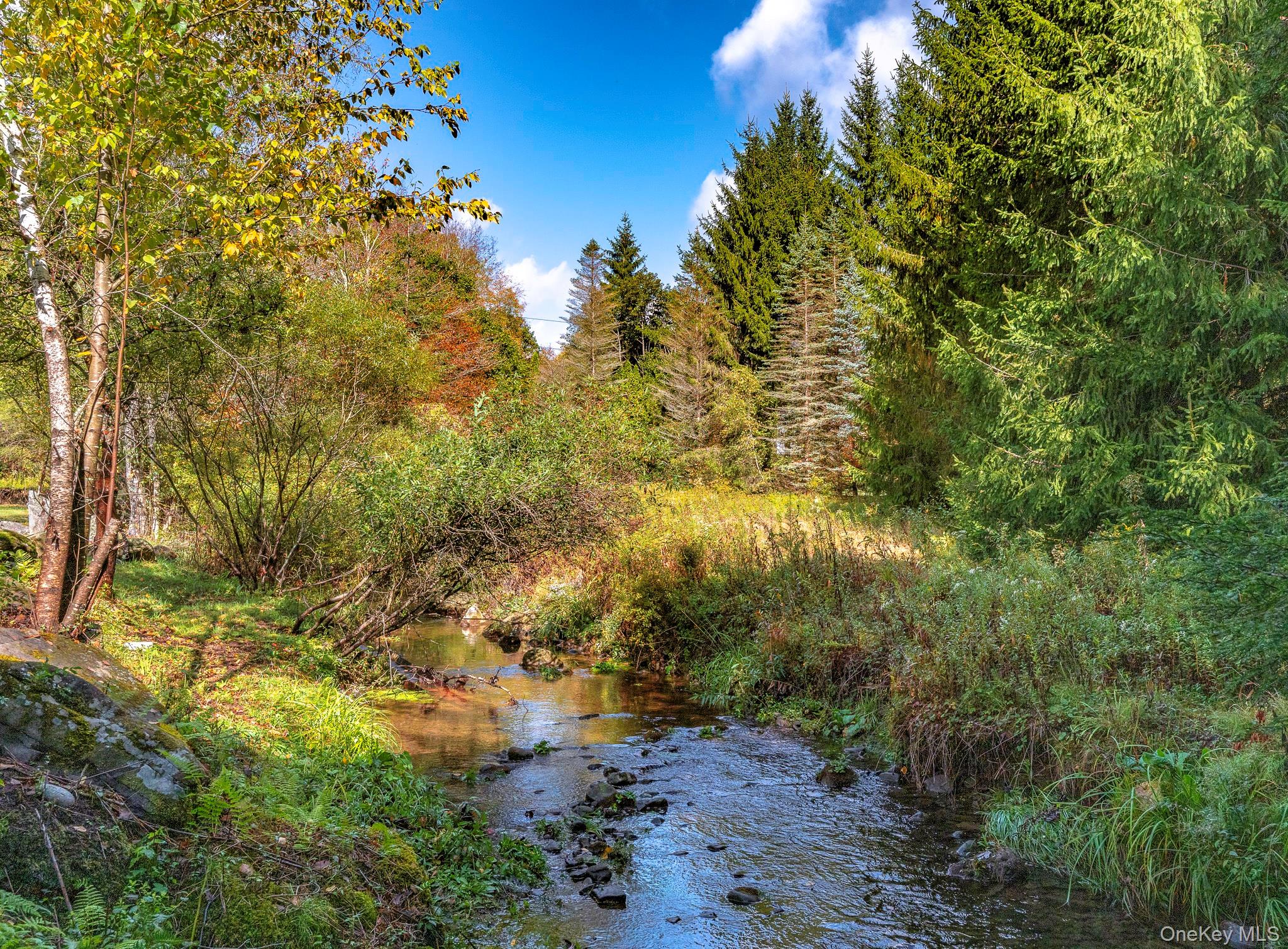 178 Aden Road Liberty, NY 12754 - Photo 20 of 27 a view of a yard