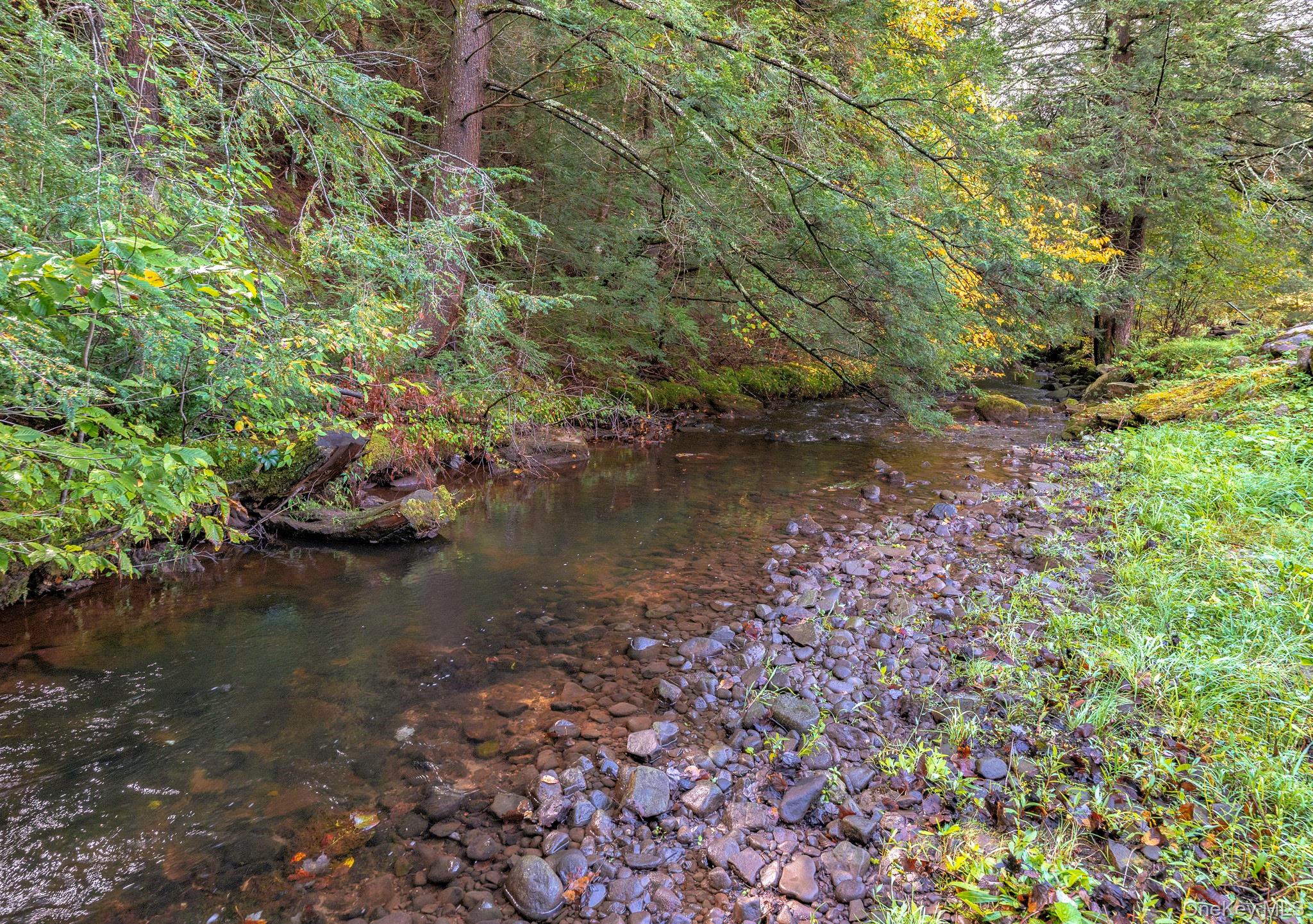 178 Aden Road Liberty, NY 12754 - Photo 21 of 27 a view of a lake with green space