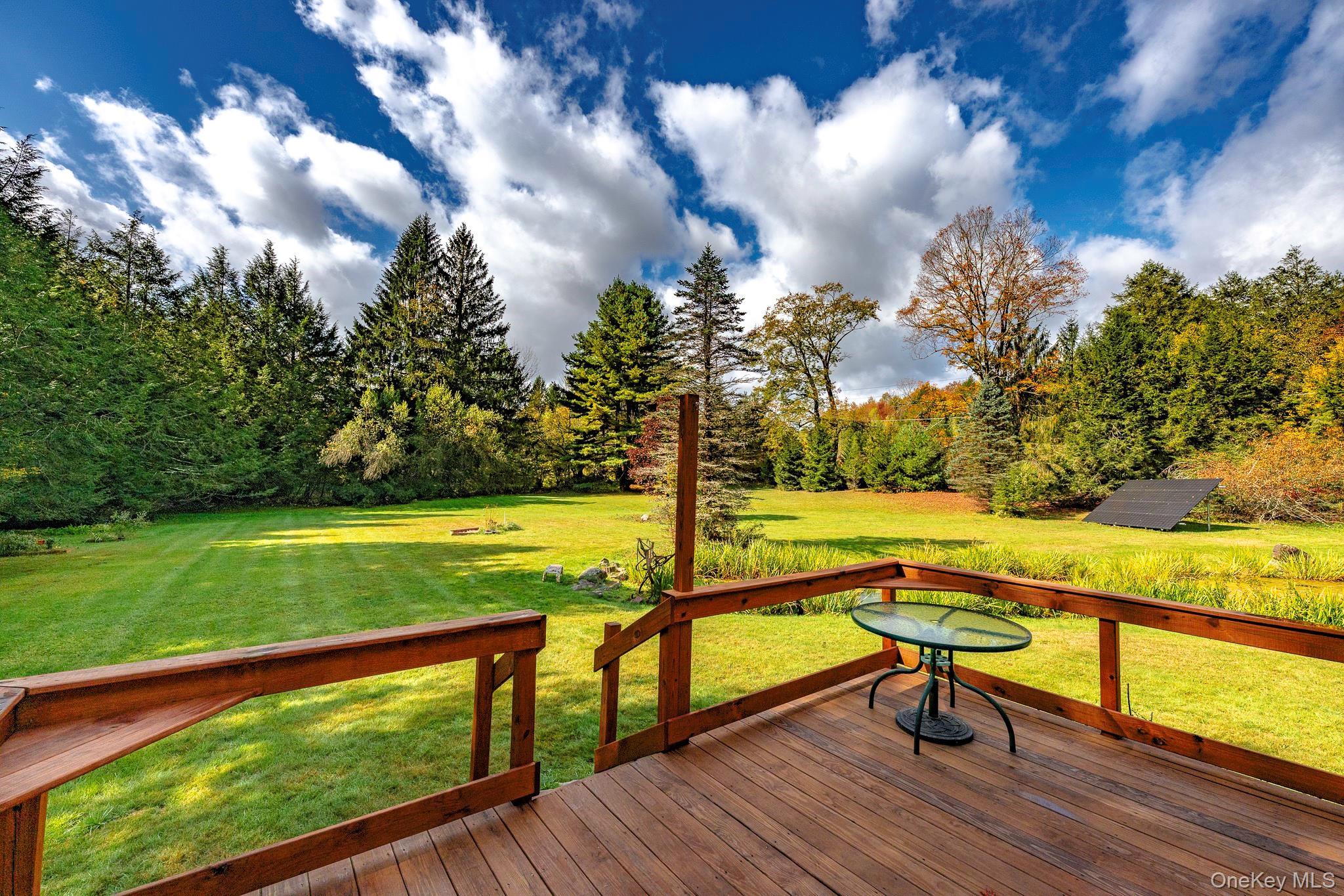 178 Aden Road Liberty, NY 12754 - Photo 22 of 27 a view of swimming pool with seating area and trees in the background