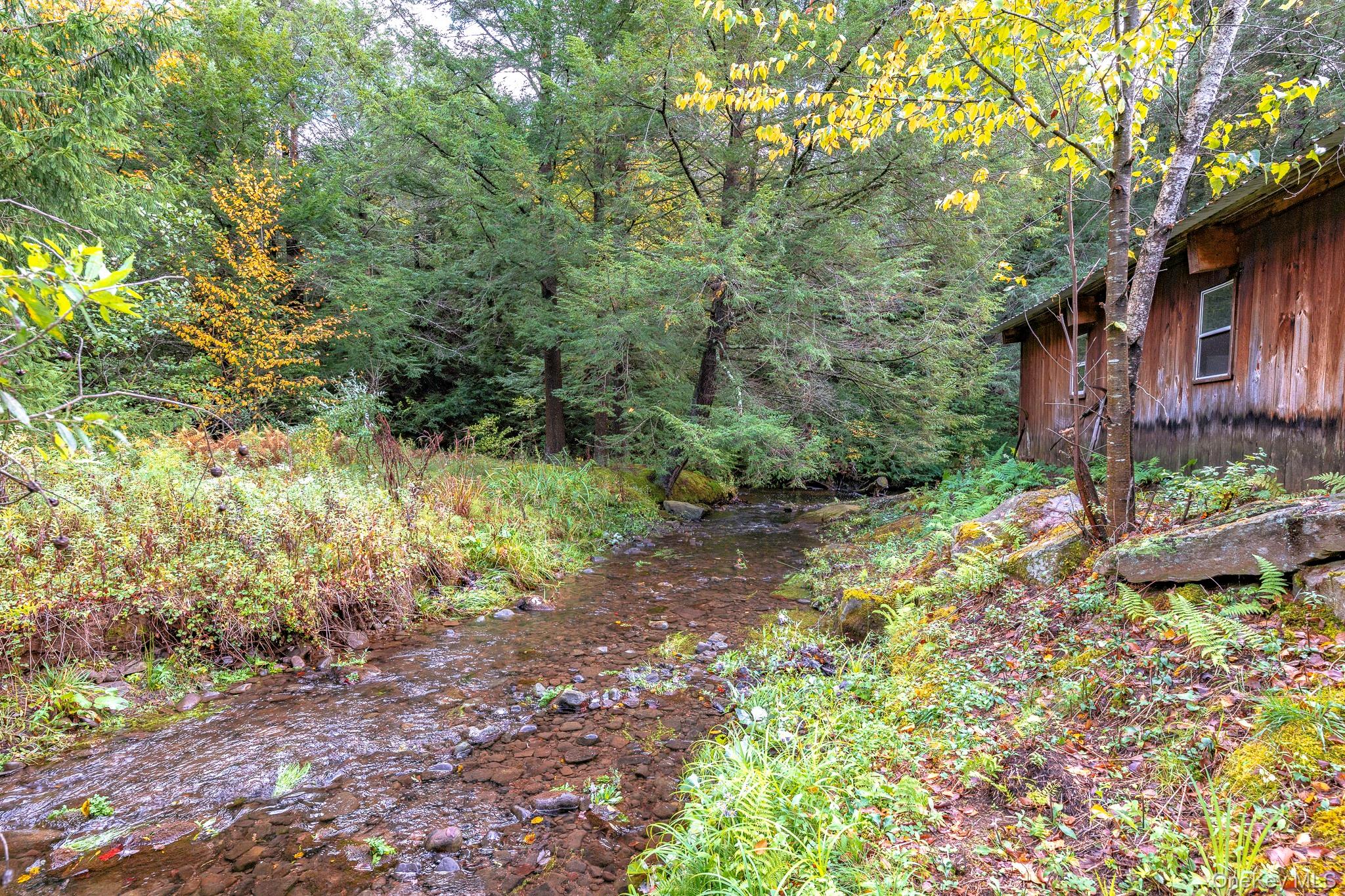 178 Aden Road Liberty, NY 12754 - Photo 27 of 27 a view of a yard with plants and large trees