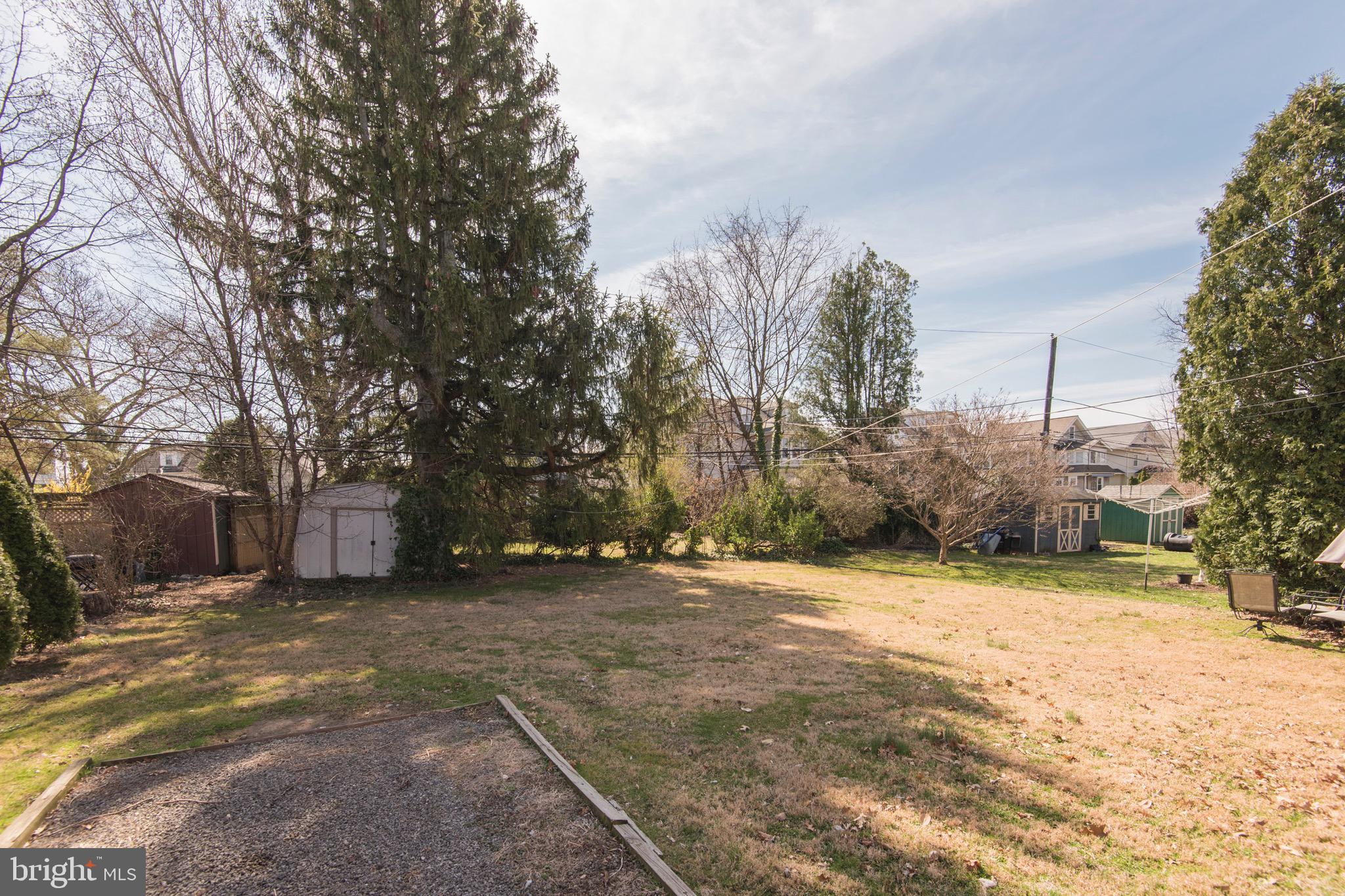 9 Fairfield Road Havertown, PA 19083 - Photo 5 of 31 a view of a yard with a tree