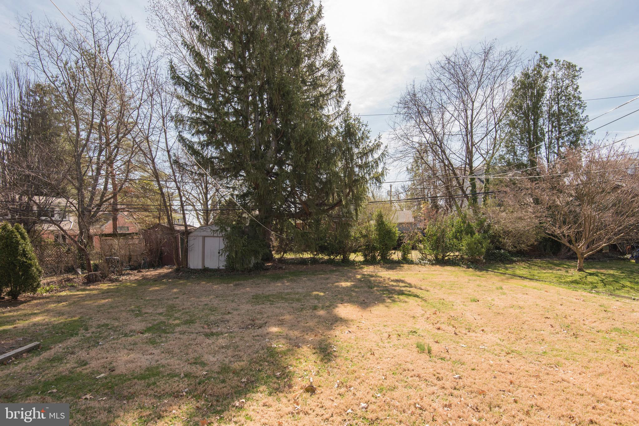 9 Fairfield Road Havertown, PA 19083 - Photo 6 of 31 a view of a yard with a tree