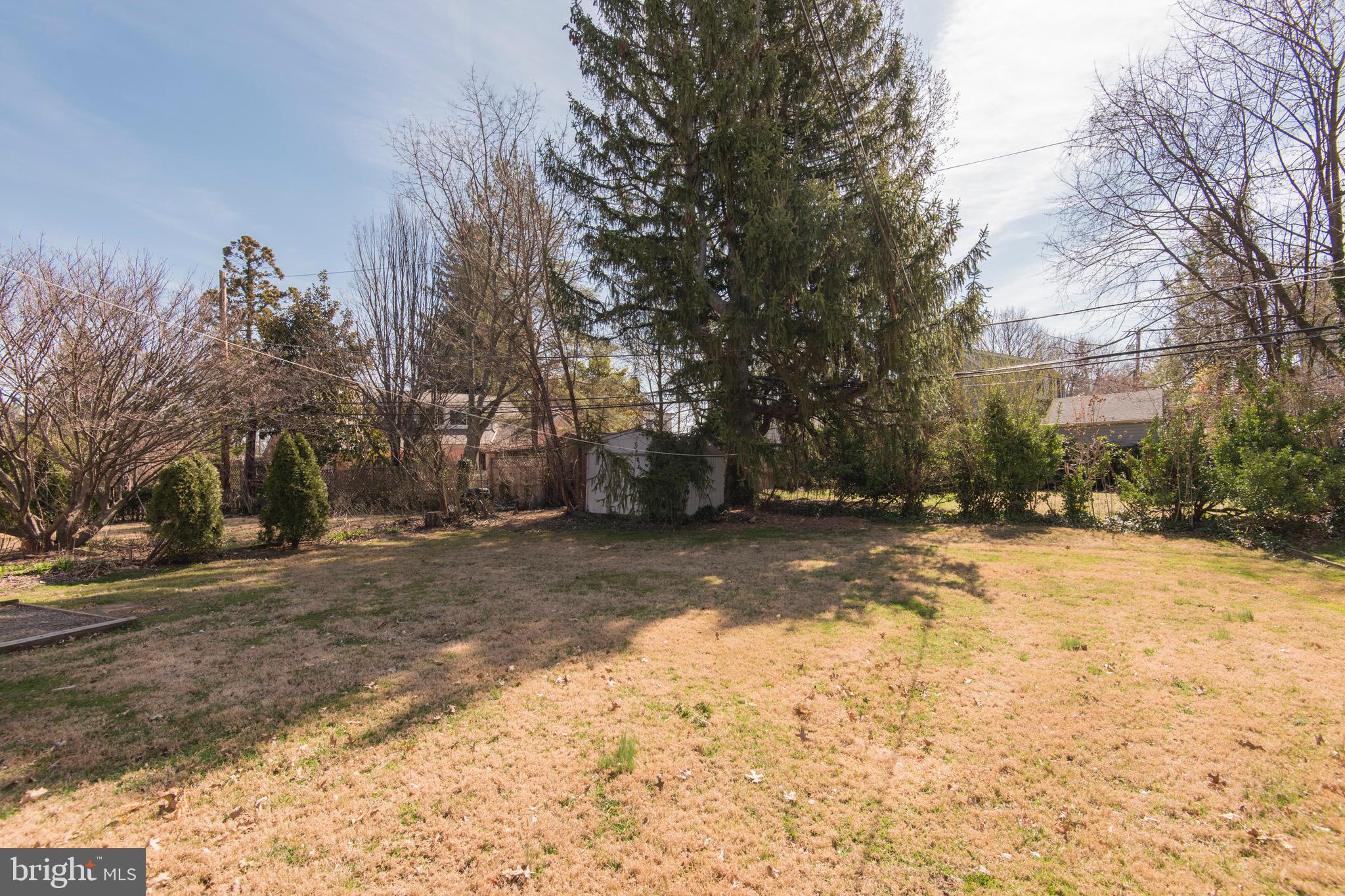 9 Fairfield Road Havertown, PA 19083 - Photo 7 of 31 a view of a yard with a trees