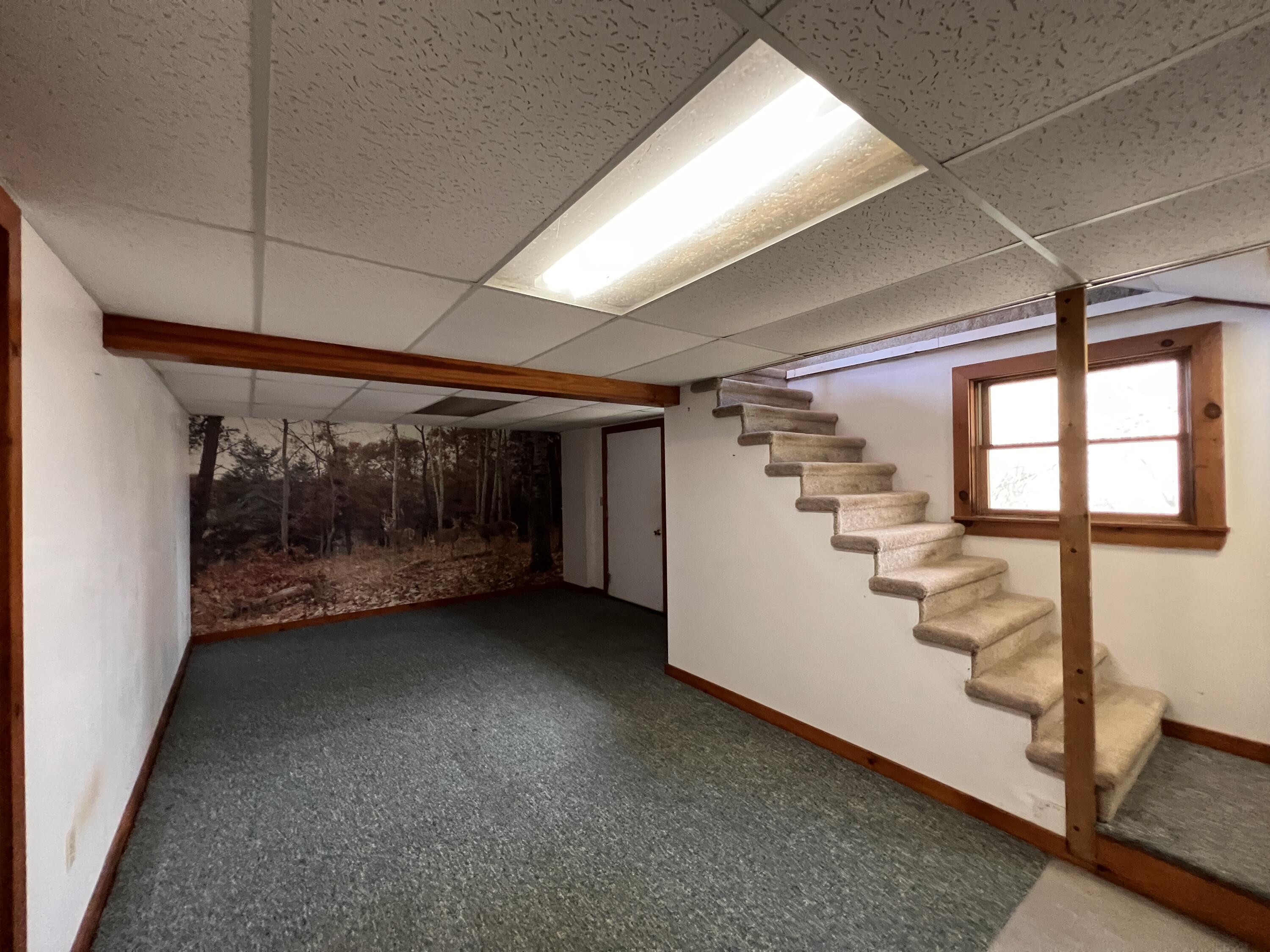 230 Dunn Road Dexter, ME 04930 - Photo 19 of 35 Downstairs