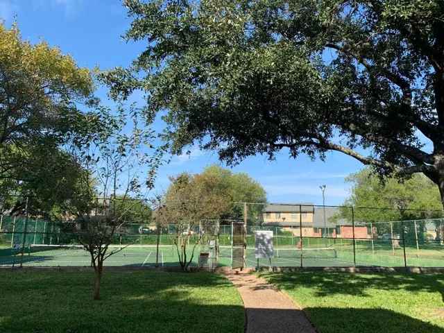 a view of a park with large trees
