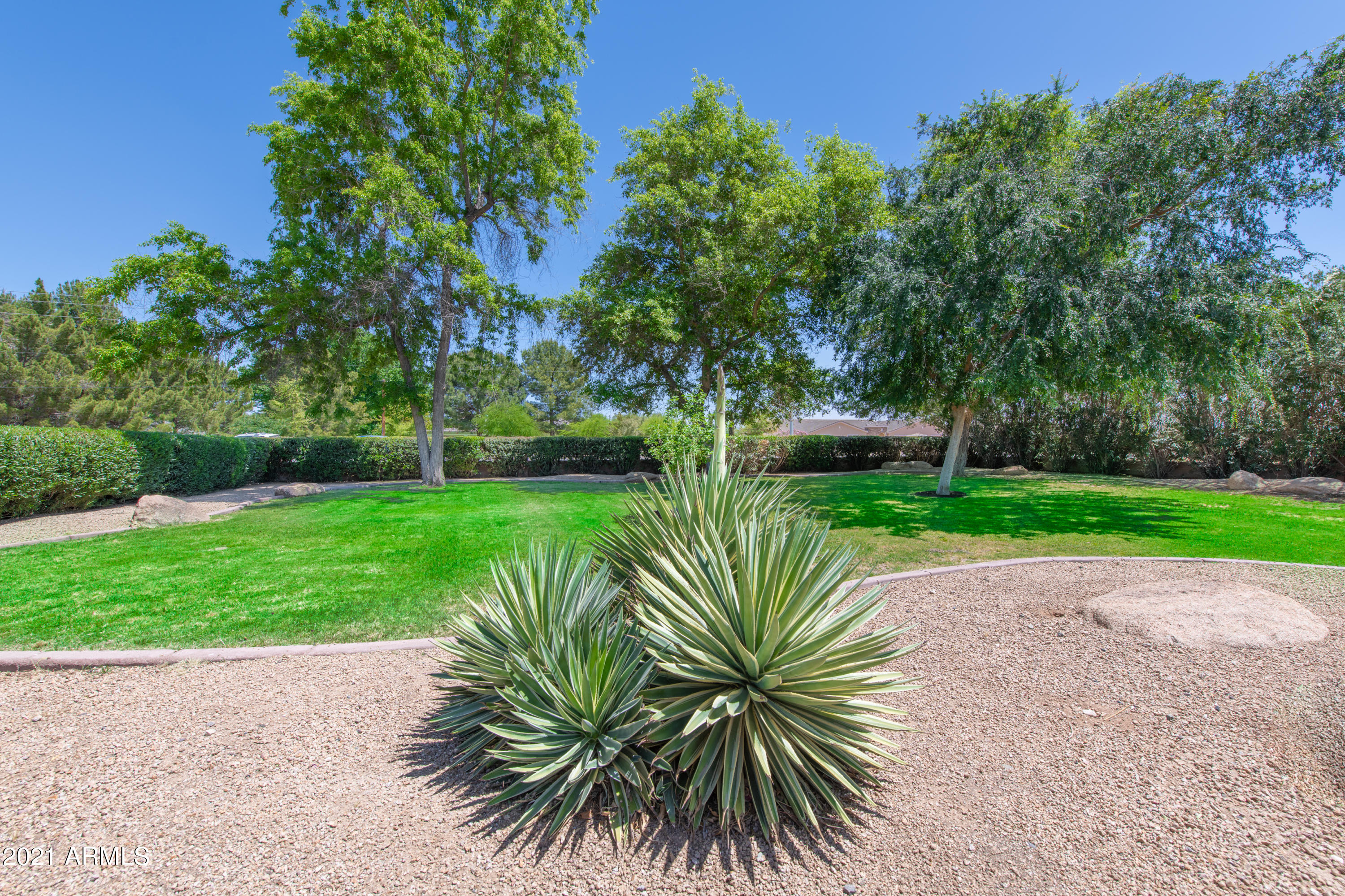 6606 North Citrus Road Waddell, AZ 85355 - Photo 3 of 48 003_Front Yard
