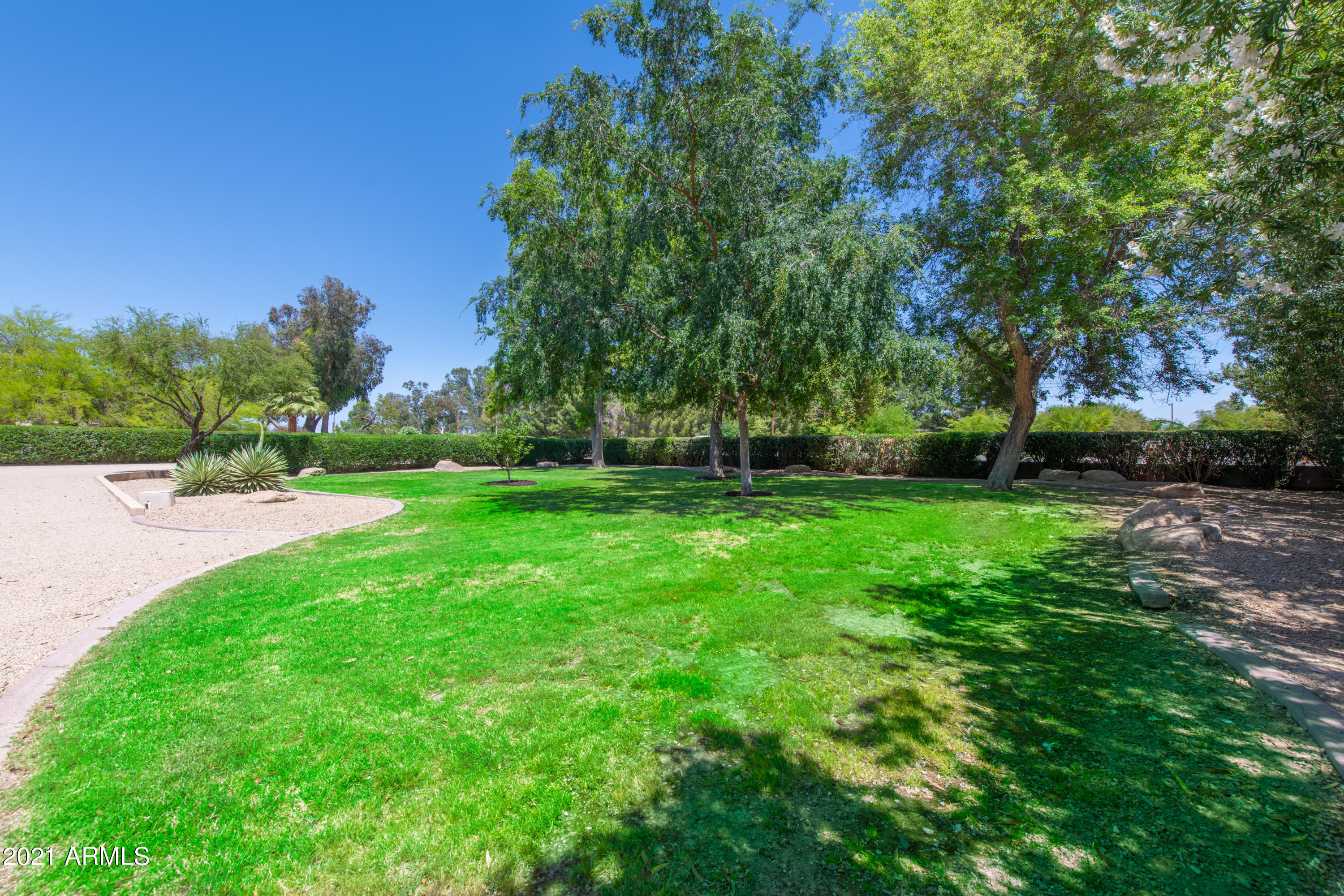6606 North Citrus Road Waddell, AZ 85355 - Photo 4 of 48 004_Front Yard II