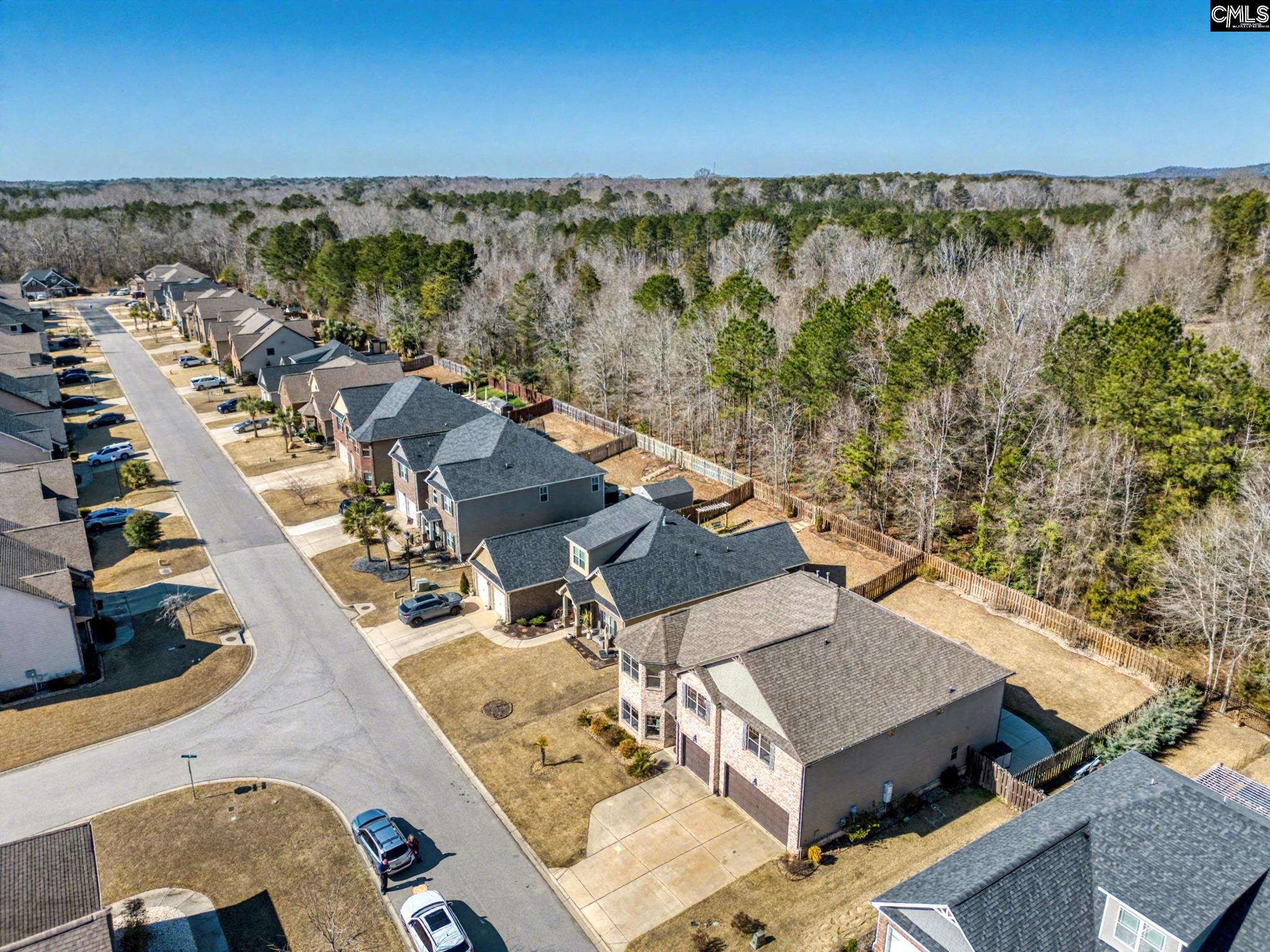 303 Lever Bottom Court Chapin, SC 29036 - Photo 44 of 45