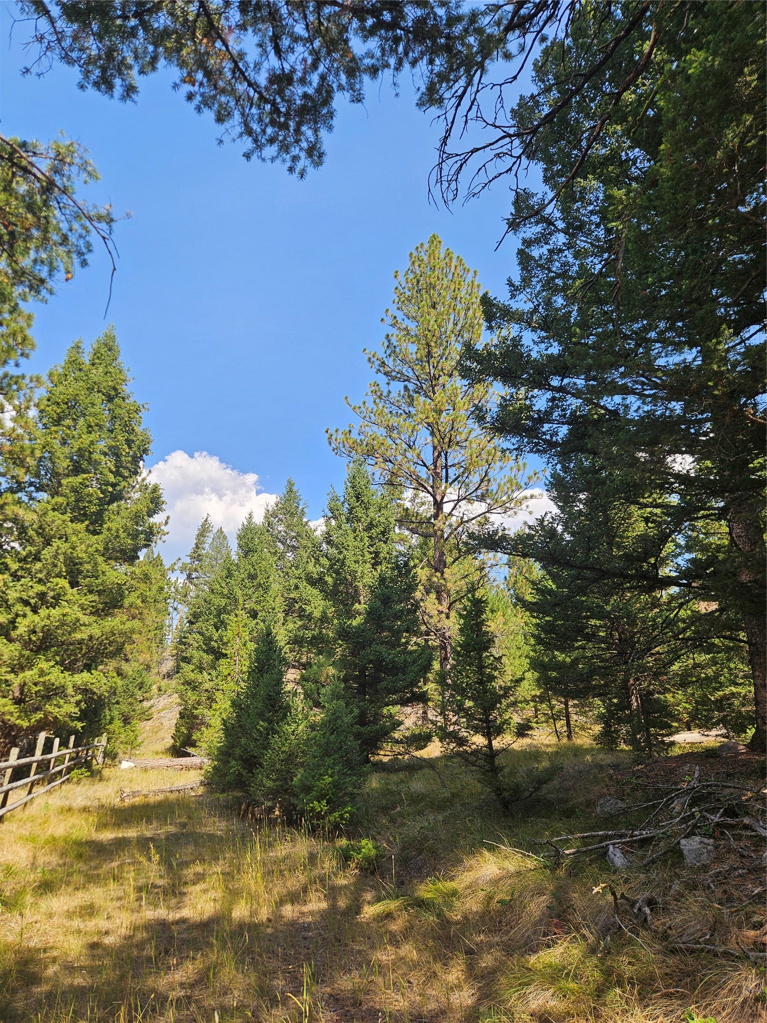 8880 Elk Trail Loop Lincoln, MT 59639 - Photo 37 of 55 Gallery Image 37