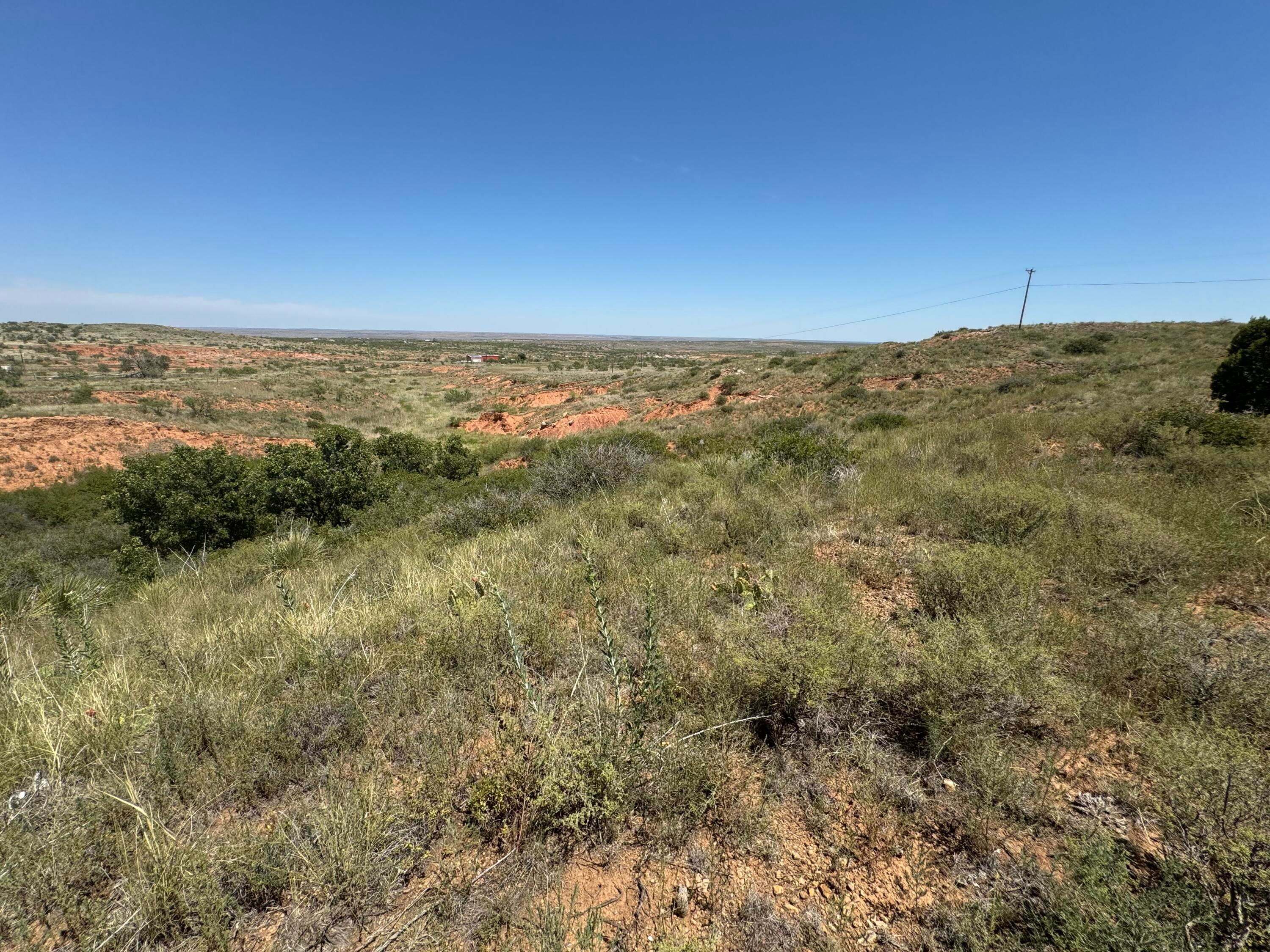 0 Parson Road Amarillo, TX 79124 - Photo 2 of 6 IMG_0888