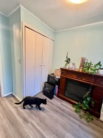 a room with furniture and a potted plant