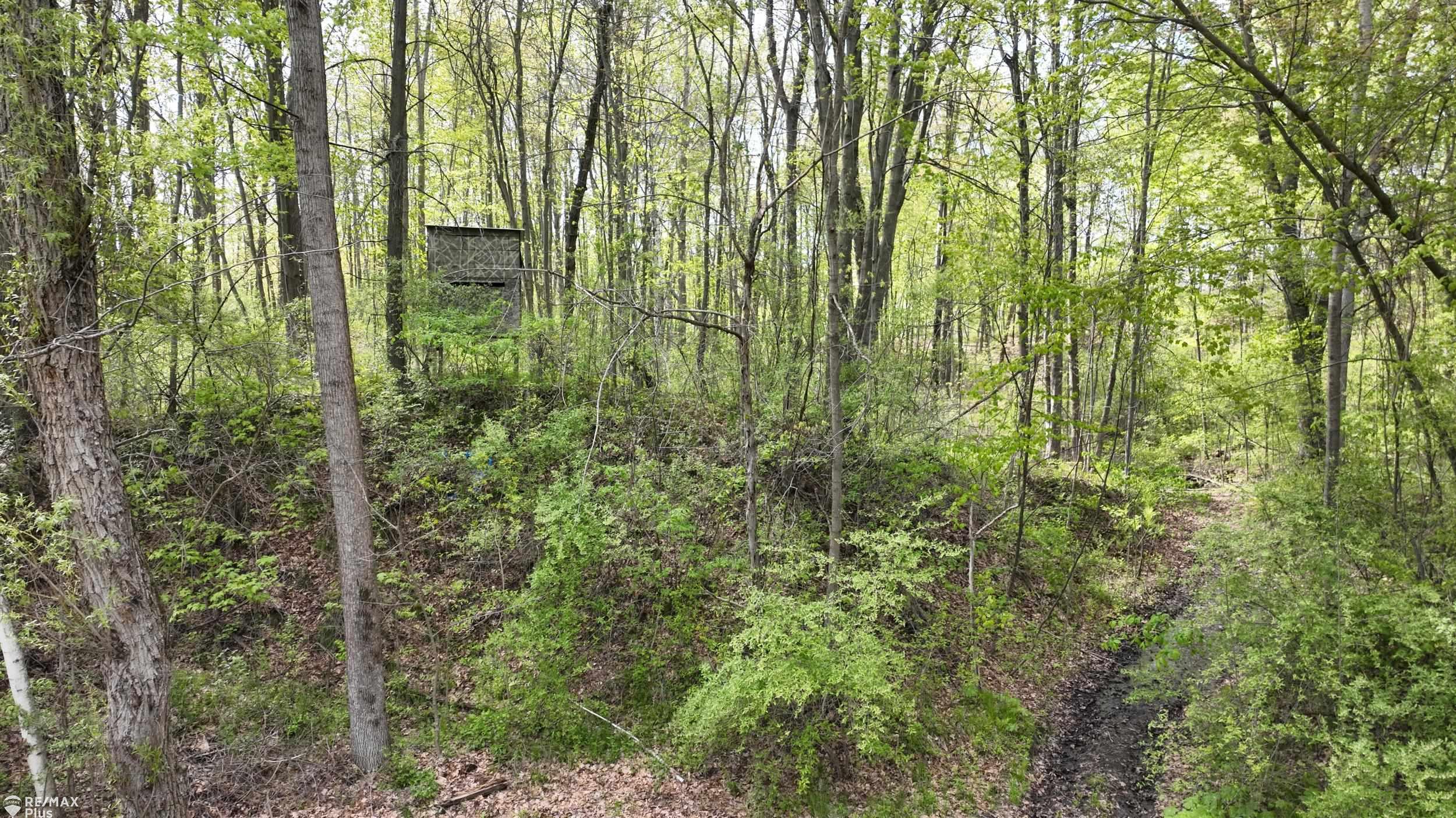0 Miller Lake Road Columbiaville, MI 48421 - Photo 13 of 33