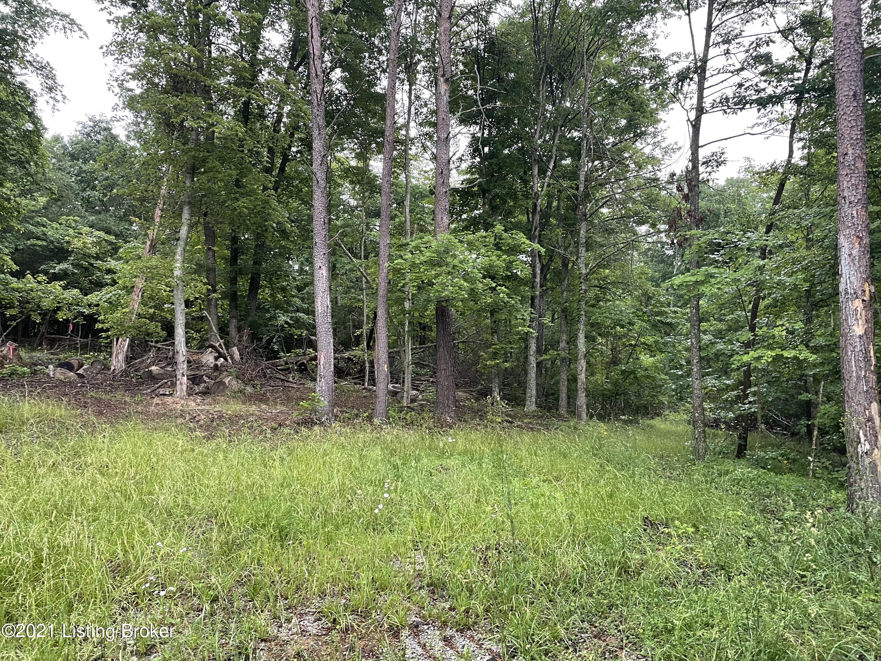 770 Jim Clark Road, Unit 4 New Haven, KY 40051 - Photo 5 of 5 89E2F899-2835-4970-8D00-787CC866EEE8