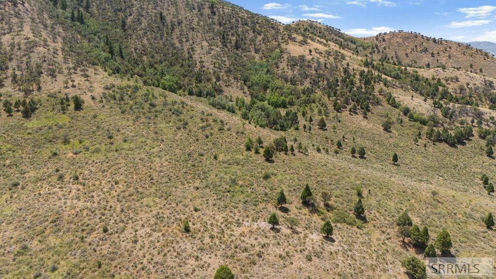 Tbd Swensen Valley Road Bancroft, ID 83217 - Photo 8 of 9 Gallery Image 8