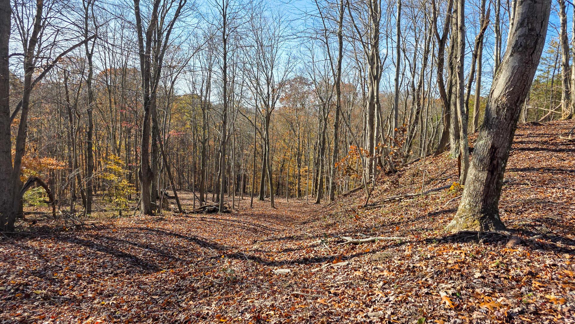 680 Nibert Road, Unit PONDS POPLAR RIDGE TRACT 10) Gallipolis, OH 45631 - Photo 42 of 46 CT-42