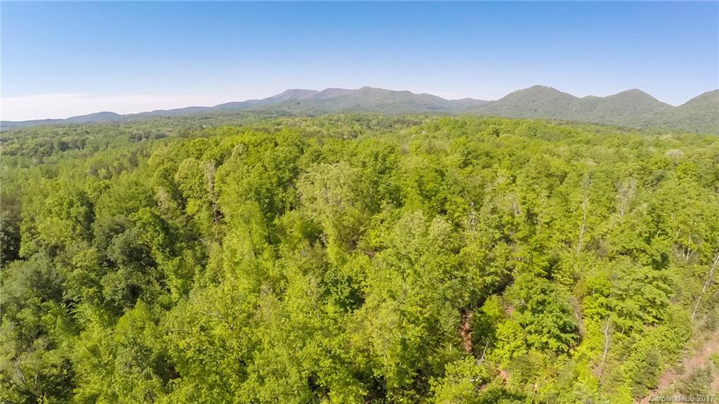 9999 Morris Rdg Road, Unit 45 Columbus, NC 28722 - Photo 2 of 2 Gallery Image 2