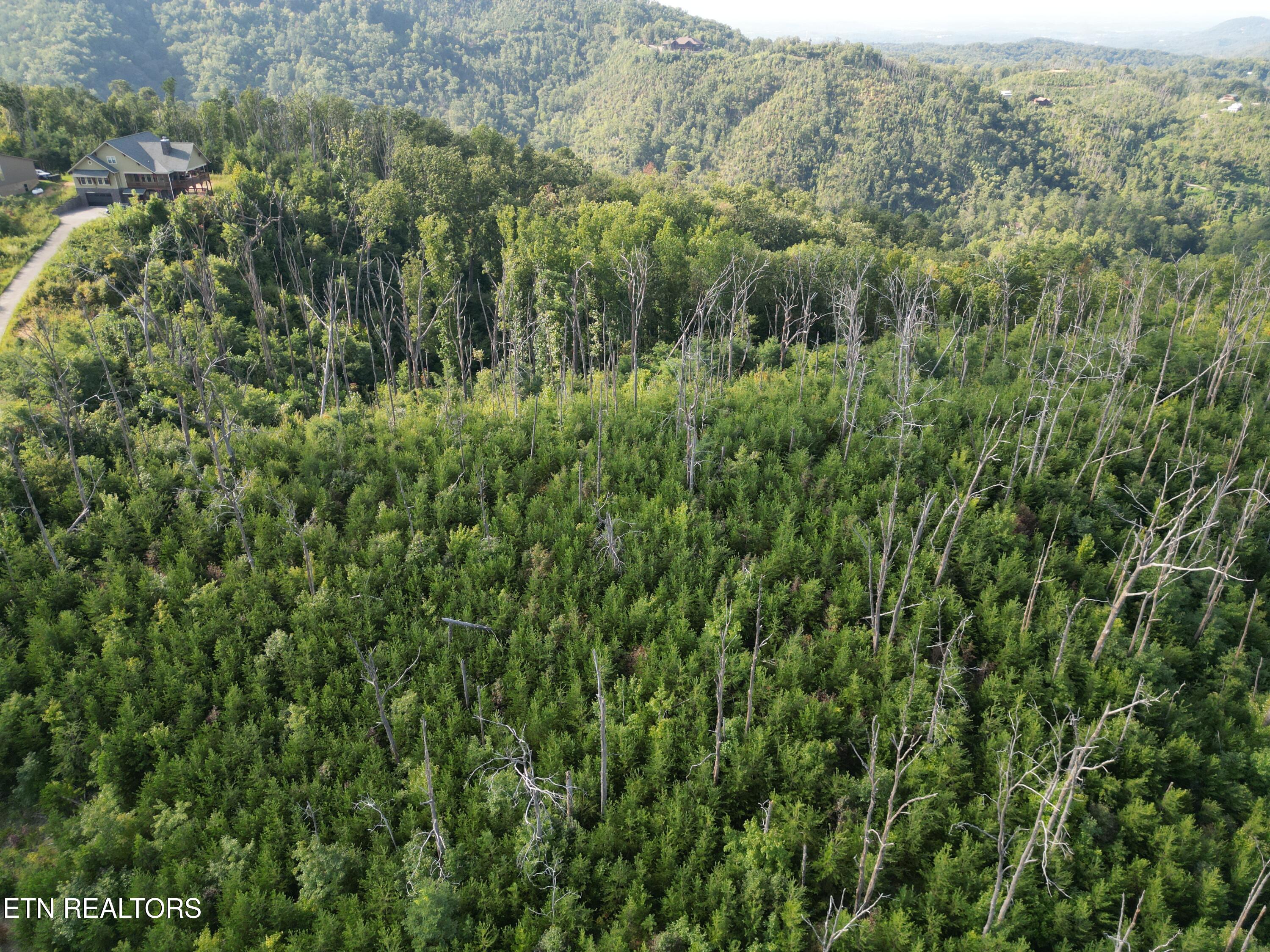Wiley Oakley Drive Gatlinburg, TN 37738 - Photo 4 of 10 5318135_DJI_0030