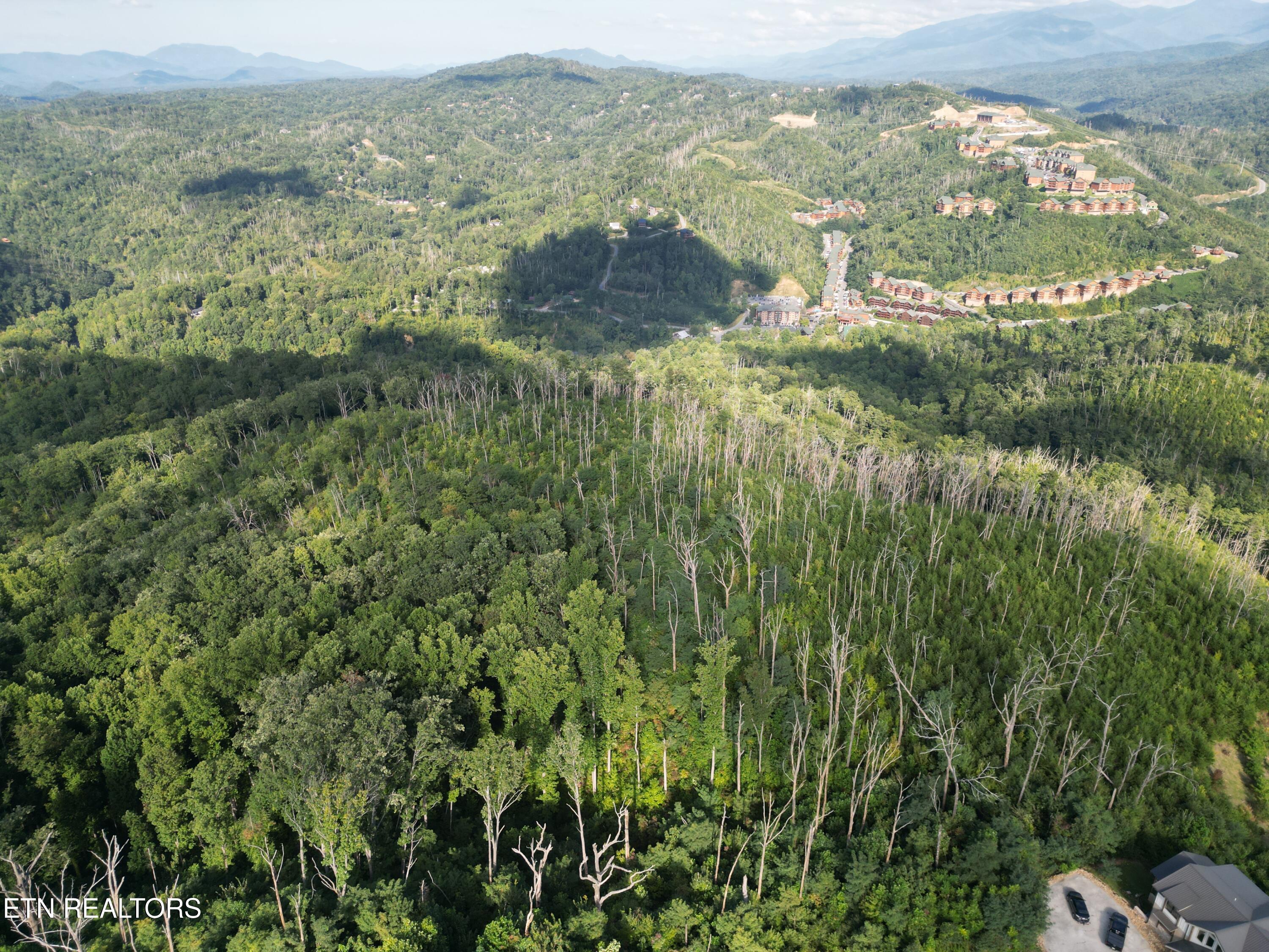 Wiley Oakley Drive Gatlinburg, TN 37738 - Photo 5 of 10 5318136_DJI_0031
