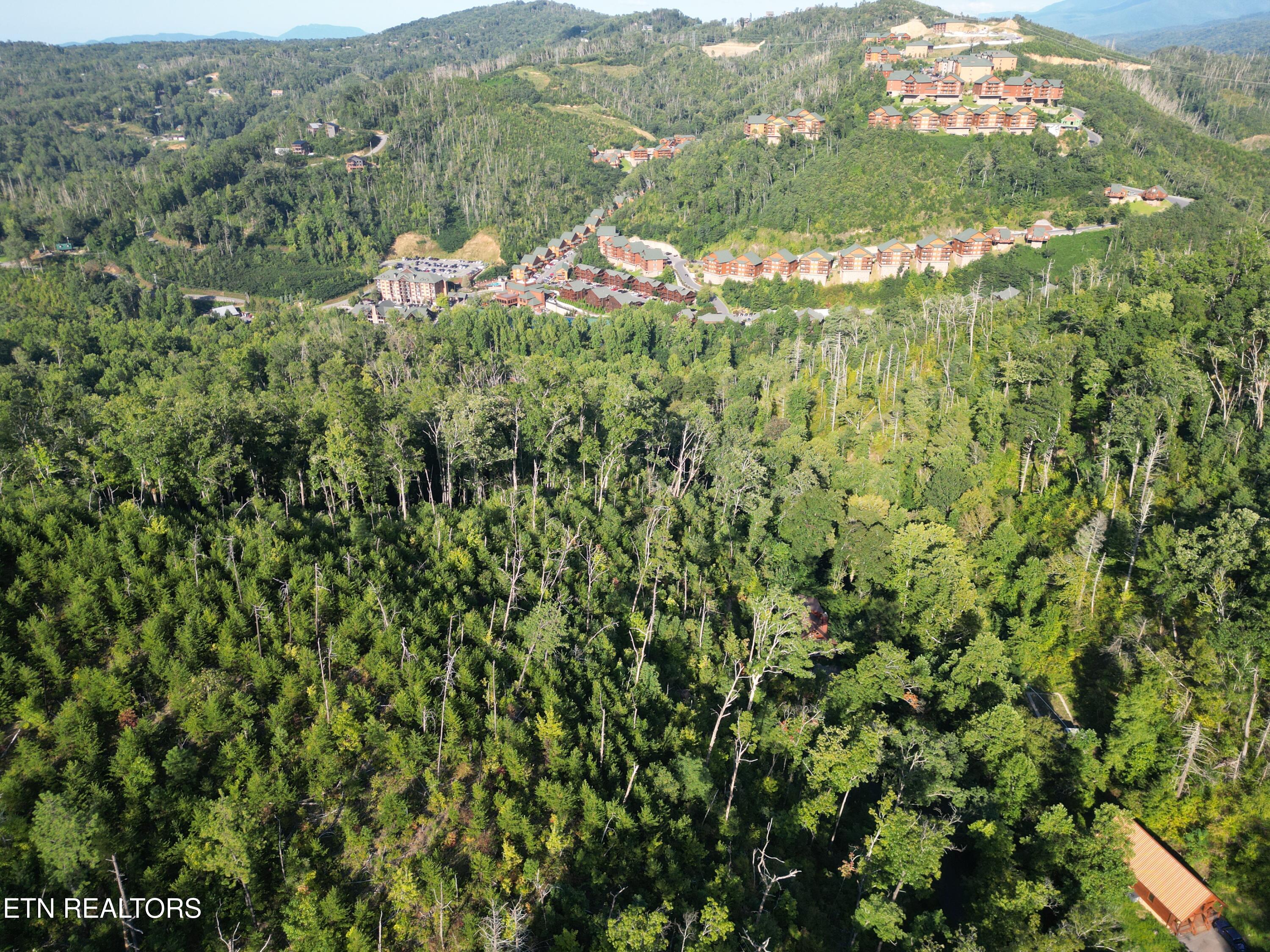 Wiley Oakley Drive Gatlinburg, TN 37738 - Photo 6 of 10 5318149_DJI_0056