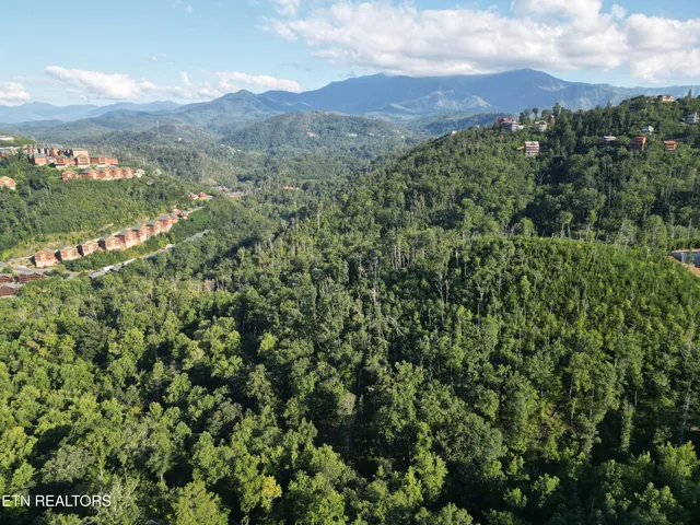 $11,900,000 | Wiley Oakley Drive, Gatlinburg, TN 37738