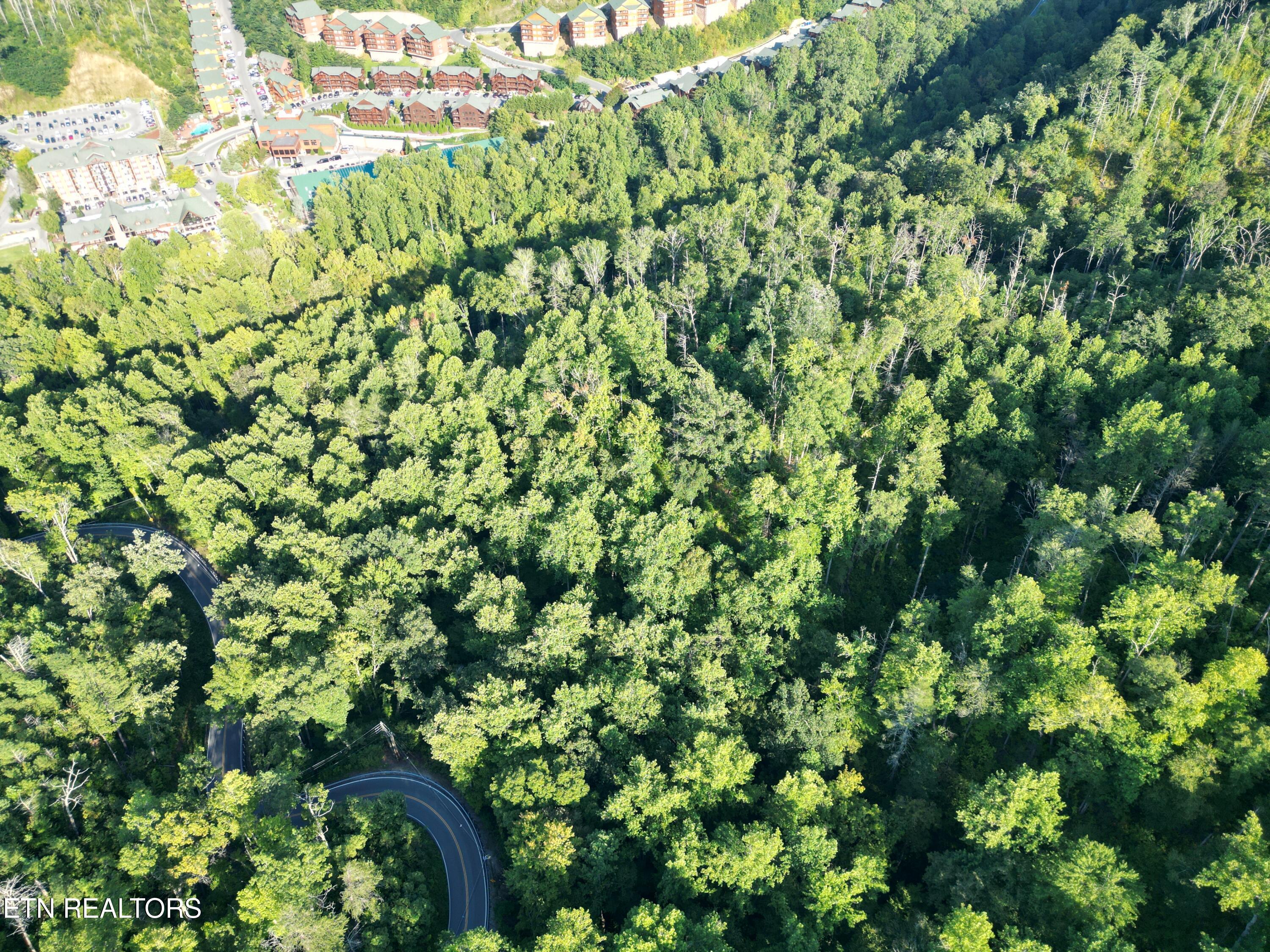 Wiley Oakley Drive Gatlinburg, TN 37738 - Photo 9 of 10 5318161_DJI_0070