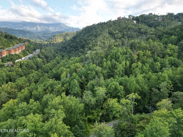 $11,900,000 | Wiley Oakley Drive, Gatlinburg, TN 37738