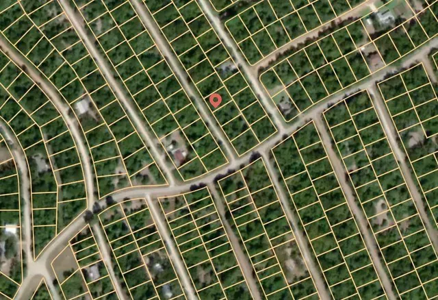 a view of bathroom with a plant in a forest