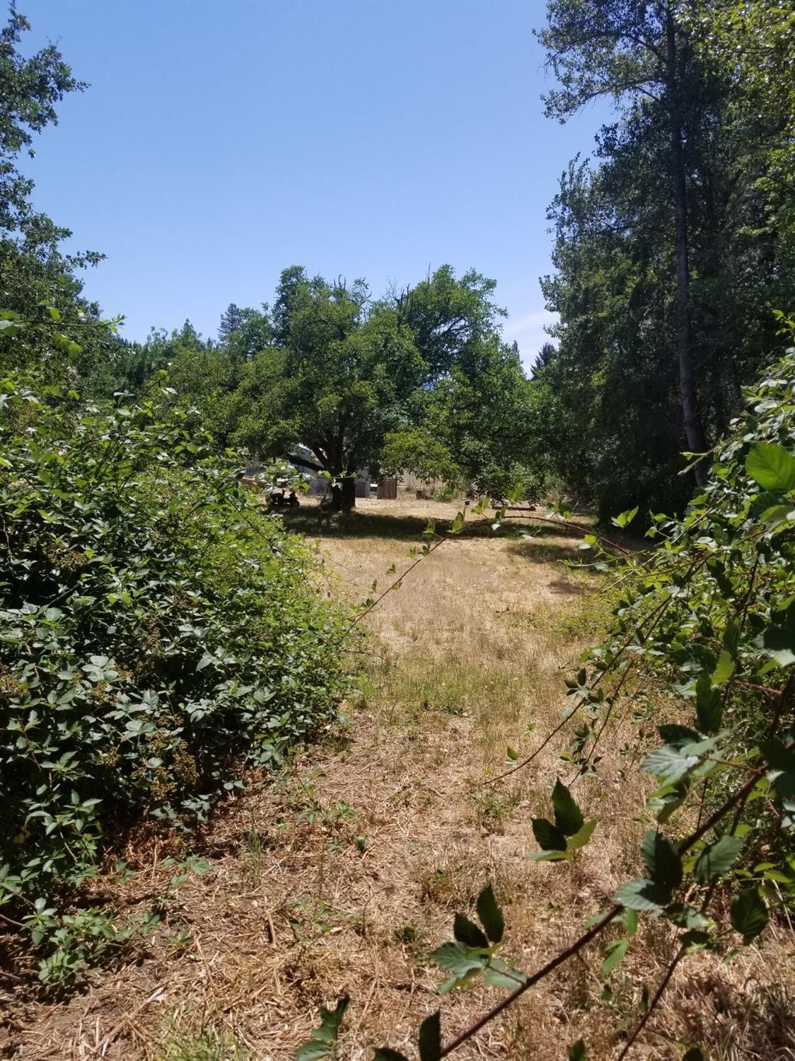 345 Earhart Road Rogue River, OR 97537 - Photo 24 of 28 Additional Photo