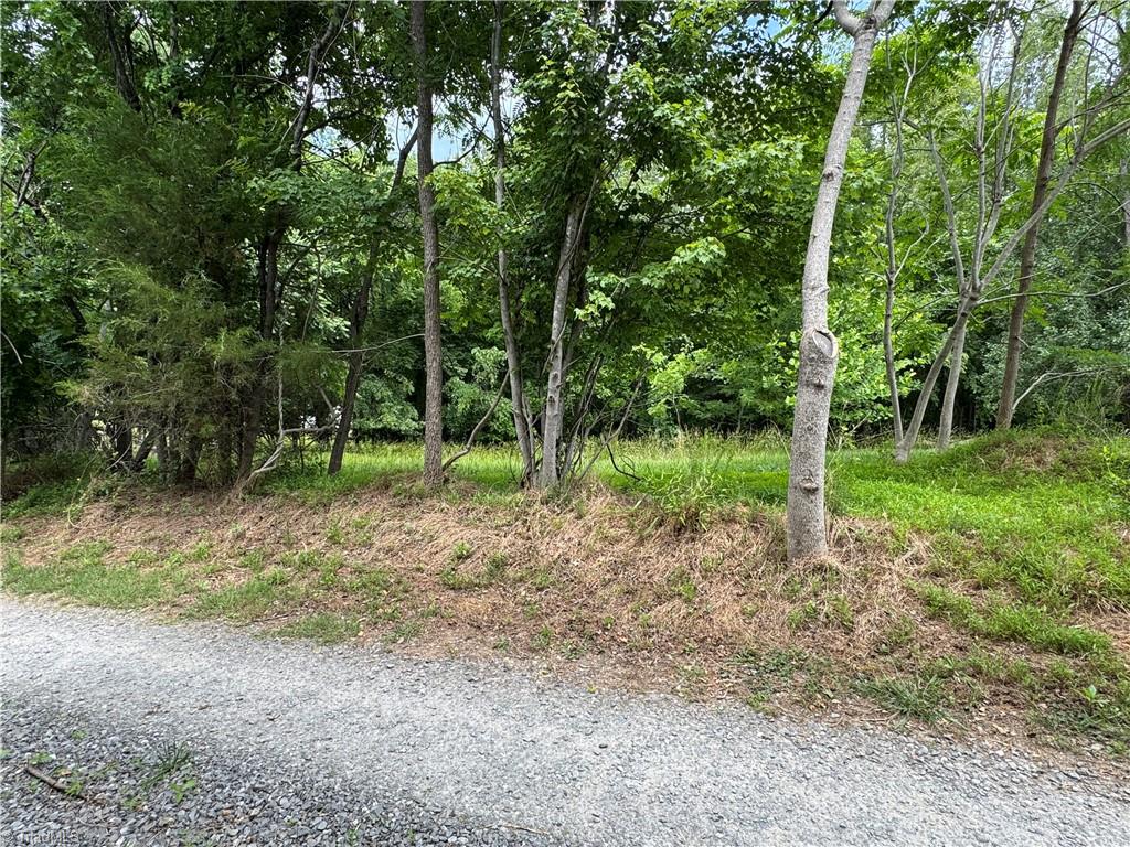 172 Poteat Road Mount Airy, NC 27030 - Photo 8 of 11