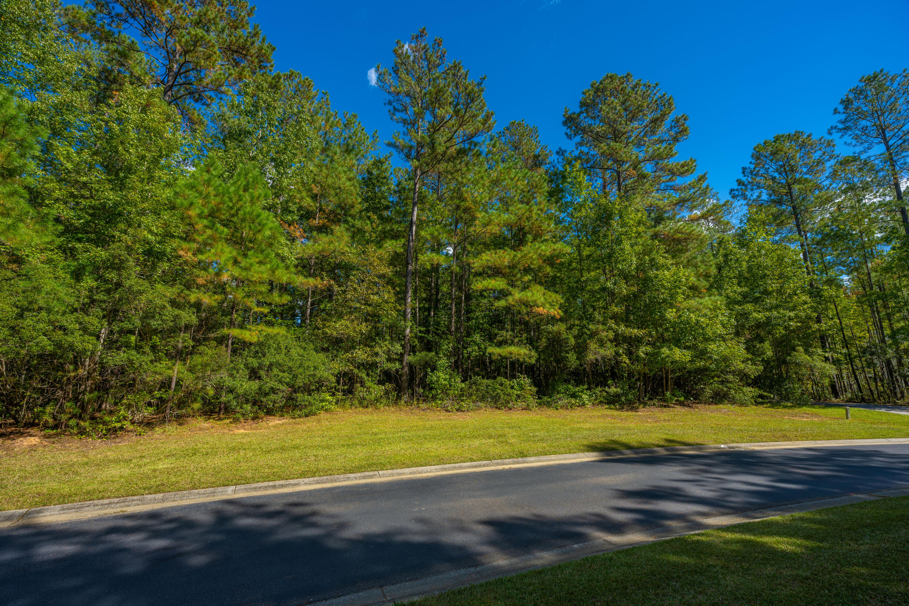 2012 Briar Bend Road Ridgeville, SC 29472 - Photo 11 of 42 2012BriarBendRd008