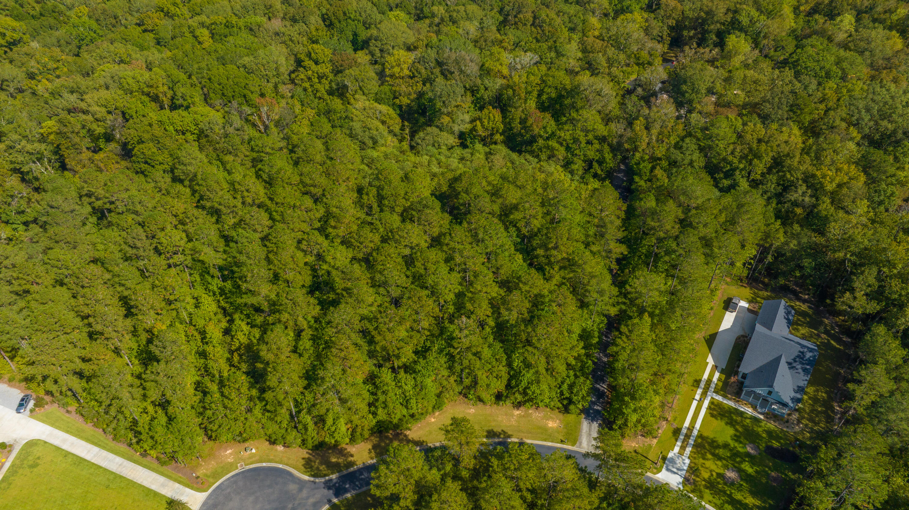 2012 Briar Bend Road Ridgeville, SC 29472 - Photo 13 of 42 2012BriarBendRd014