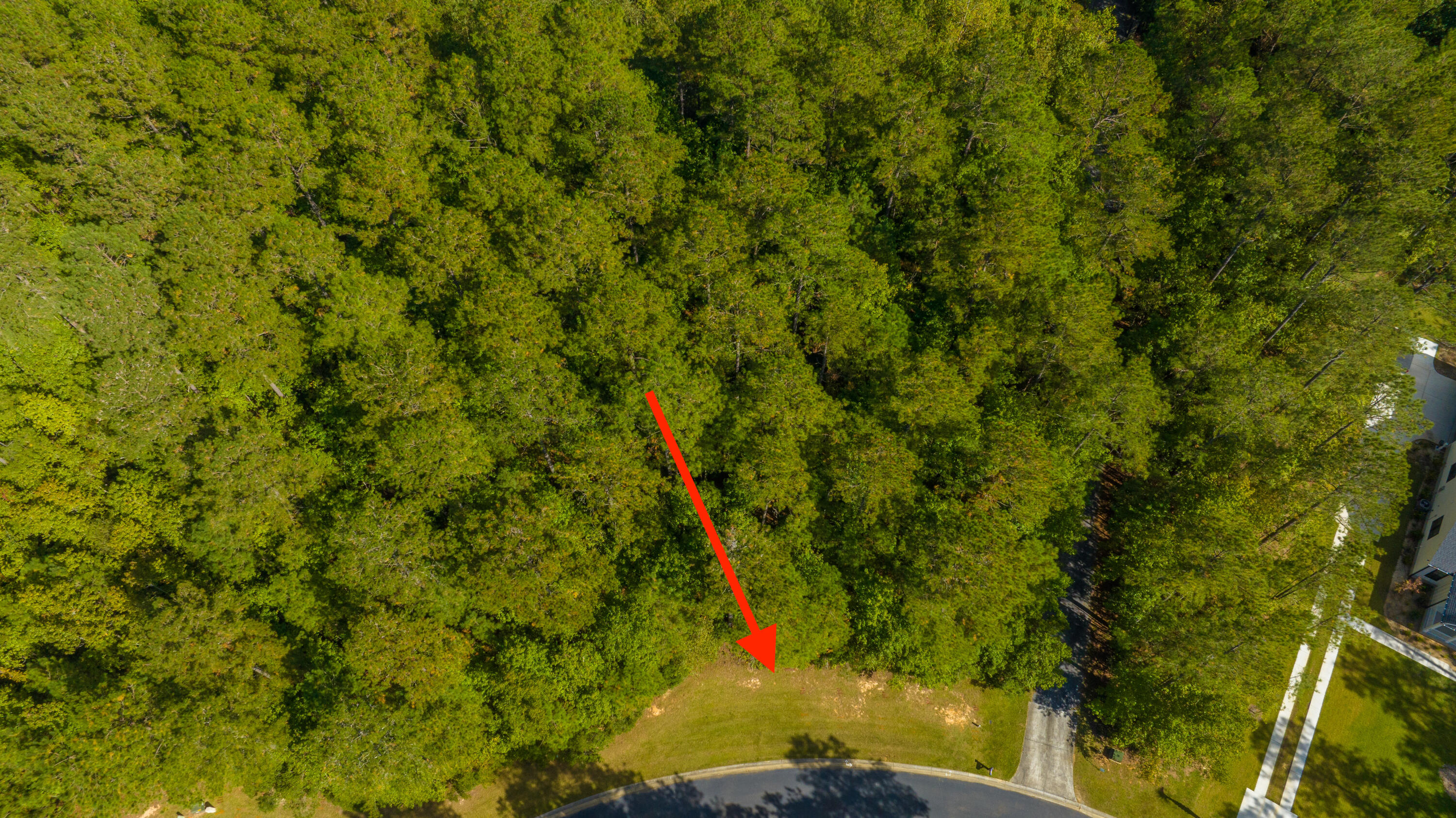 2012 Briar Bend Road Ridgeville, SC 29472 - Photo 16 of 42 2012BriarBendRd013