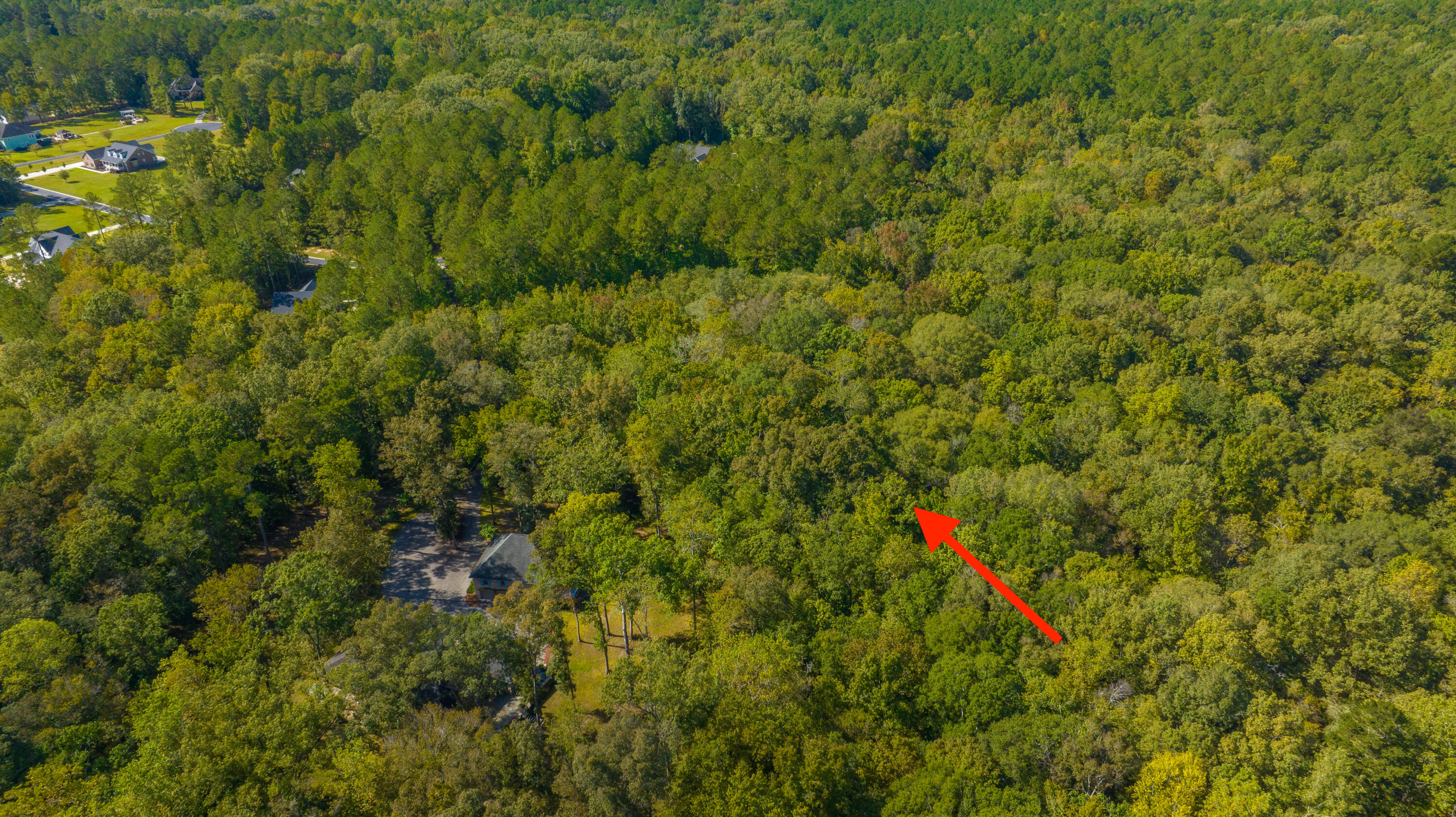 2012 Briar Bend Road Ridgeville, SC 29472 - Photo 22 of 42 2012BriarBendRd032